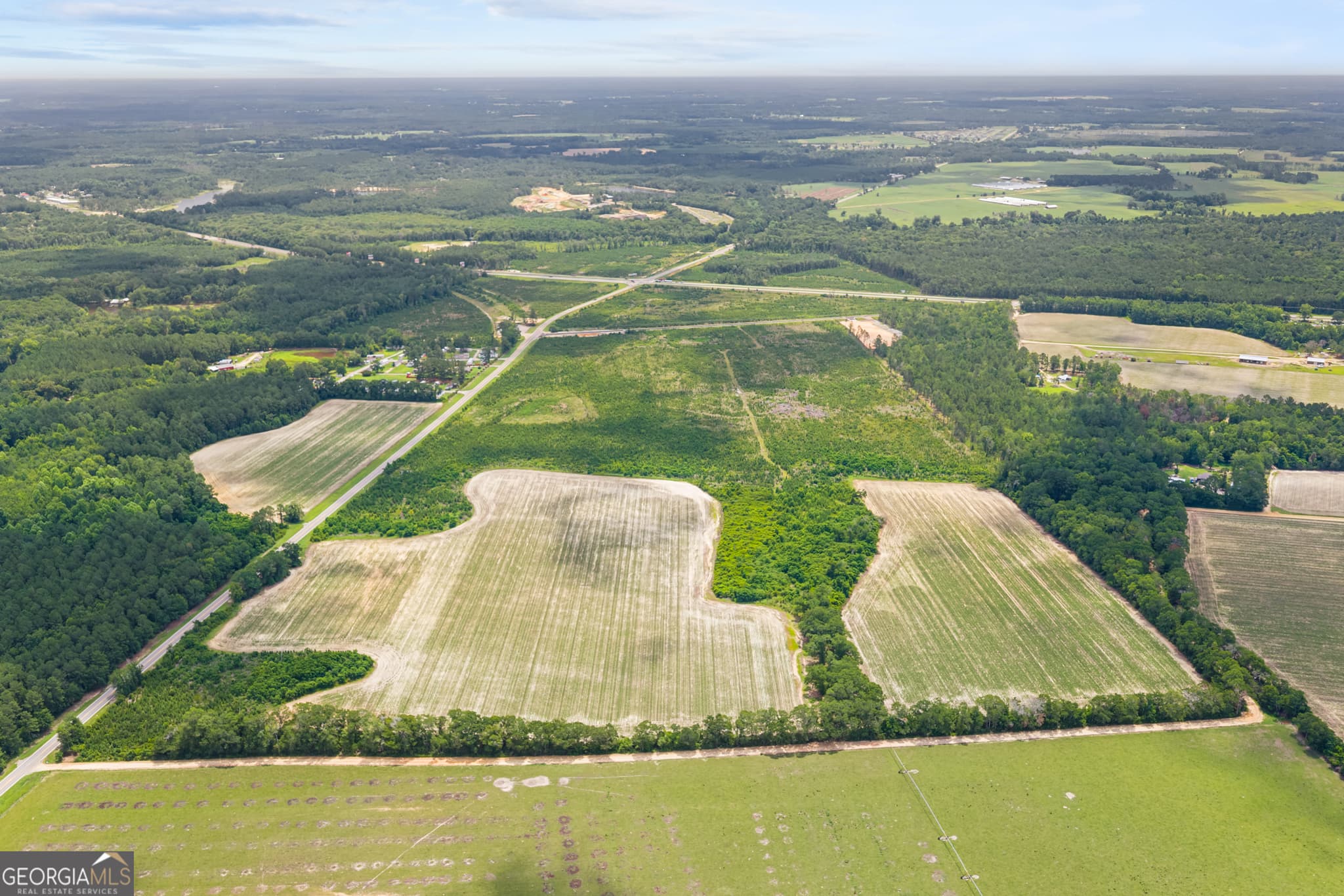 unimproved land for sale at 0 Highway 46, Register, GA 30452 — photo 3