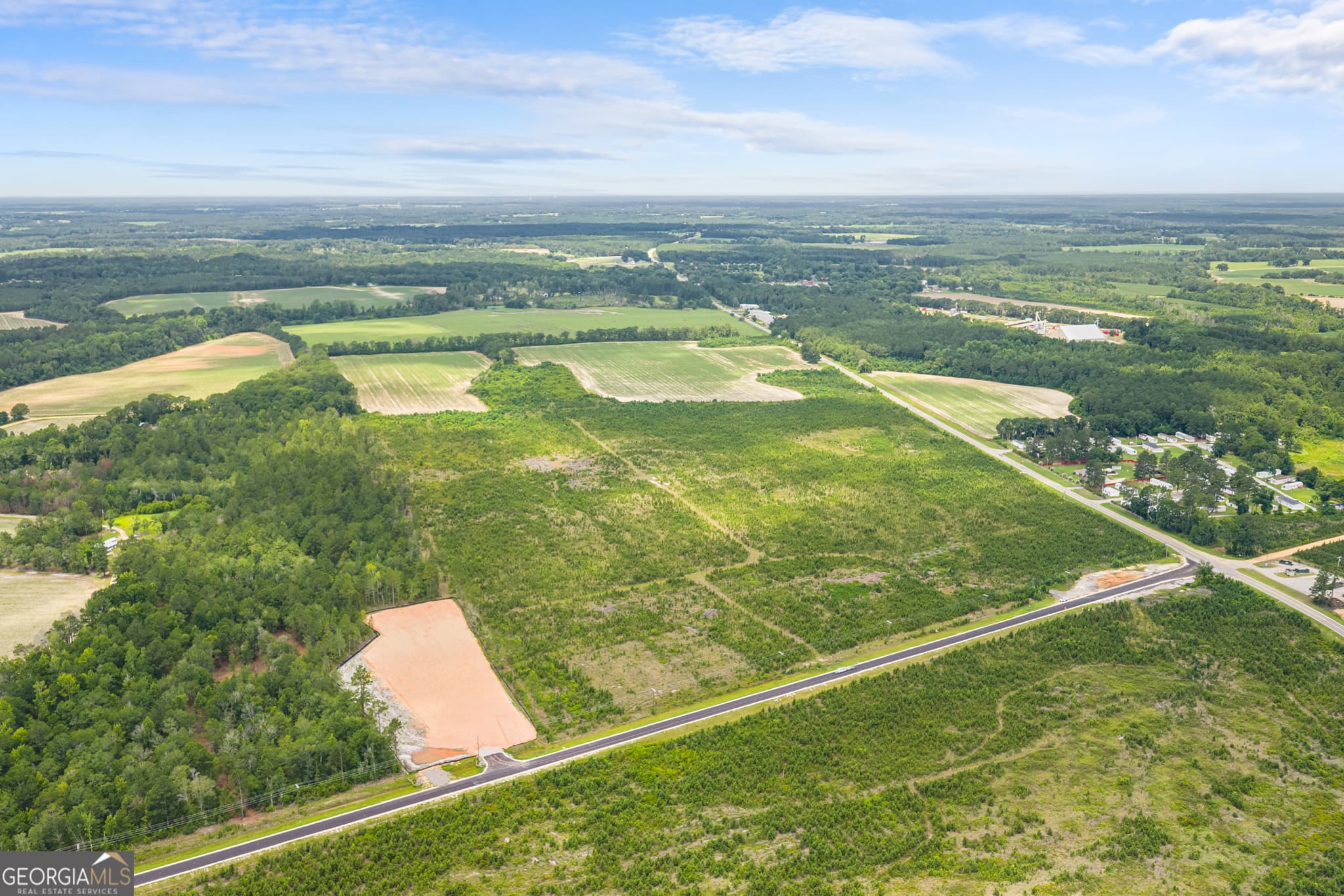 unimproved land for sale at 0 Highway 46, Register, GA 30452 — photo 5