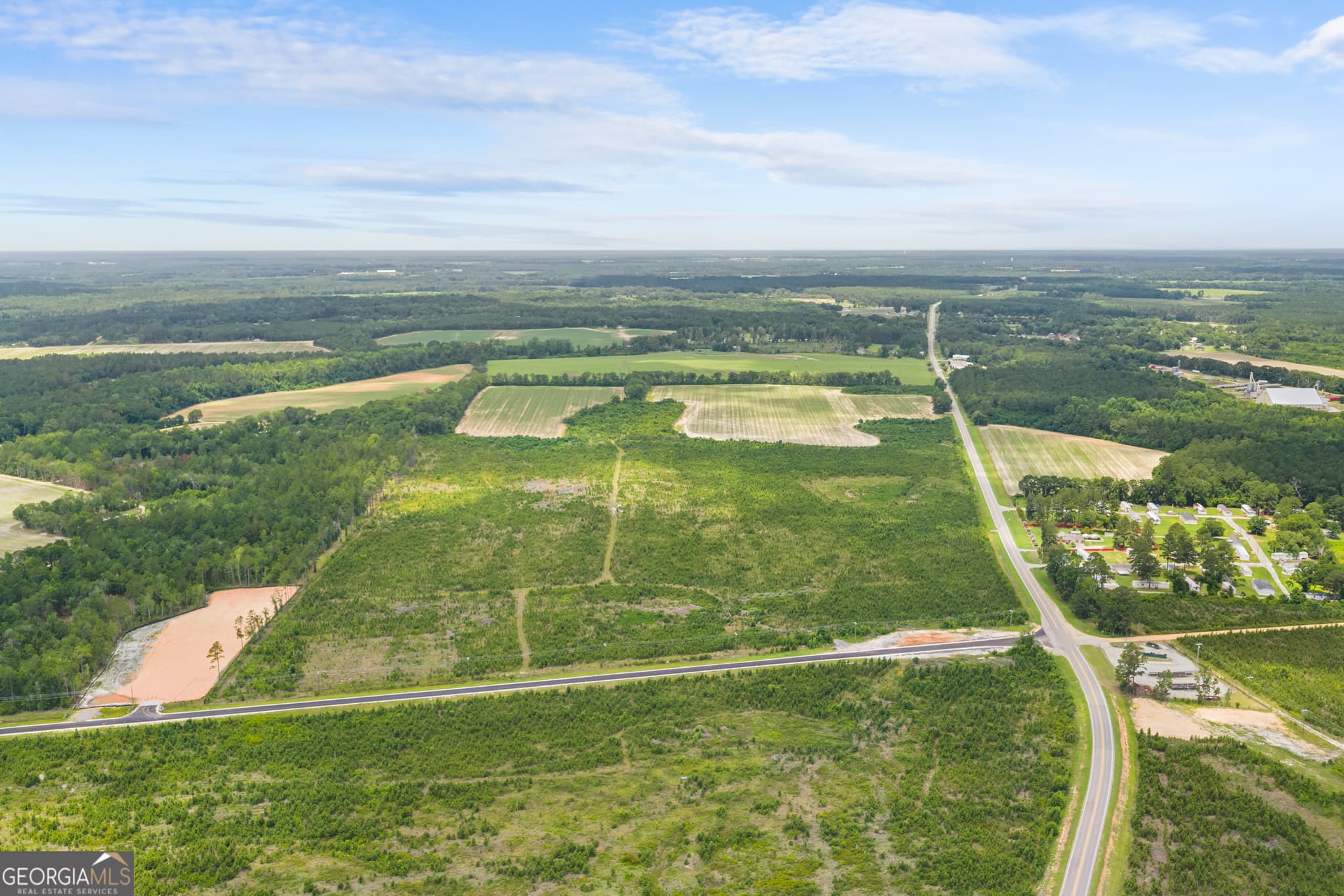unimproved land for sale at 0 Highway 46, Register, GA 30452 — photo 4