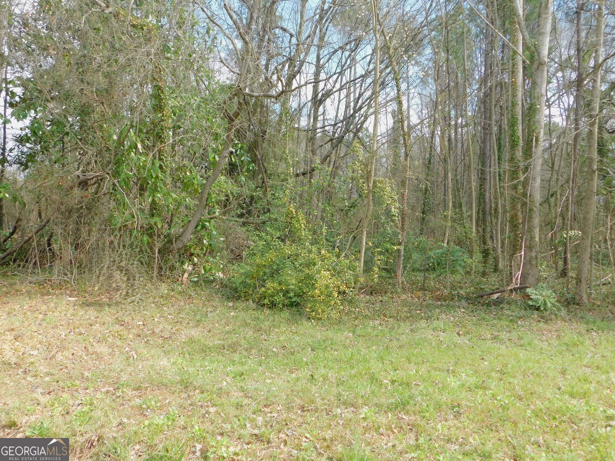 residential lot for sale at LOT 39 Herndon Boulevard, Morrow, GA 30260 — photo 1 of 4