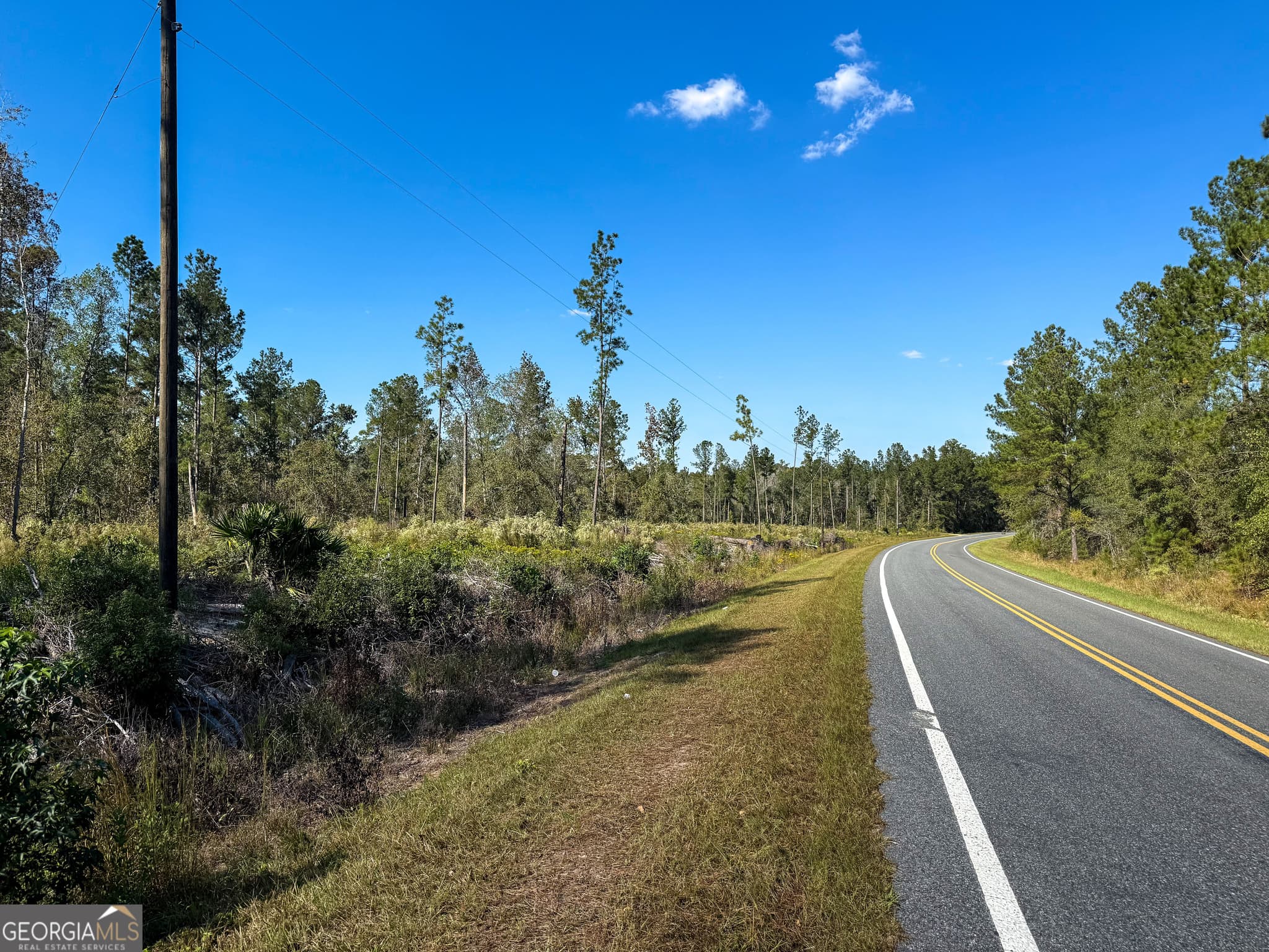 unimproved land for sale at 0 Stewart Cemetery Road, Alma, GA 31510 — photo 6