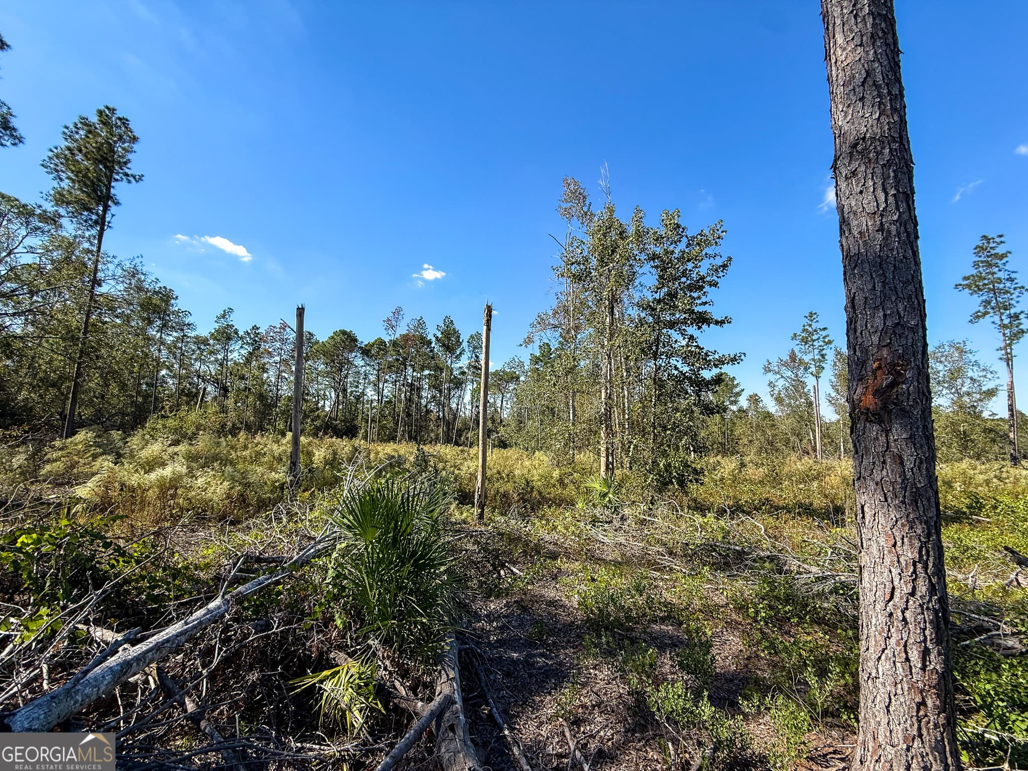 unimproved land for sale at 0 Stewart Cemetery Road, Alma, GA 31510 — photo 7