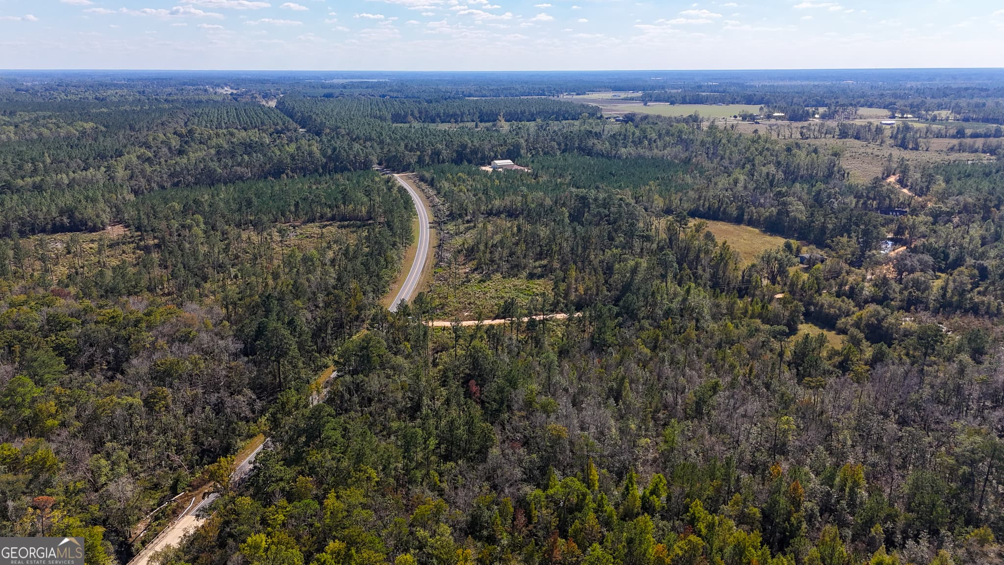 unimproved land for sale at 0 Stewart Cemetery Road, Alma, GA 31510 — photo 3