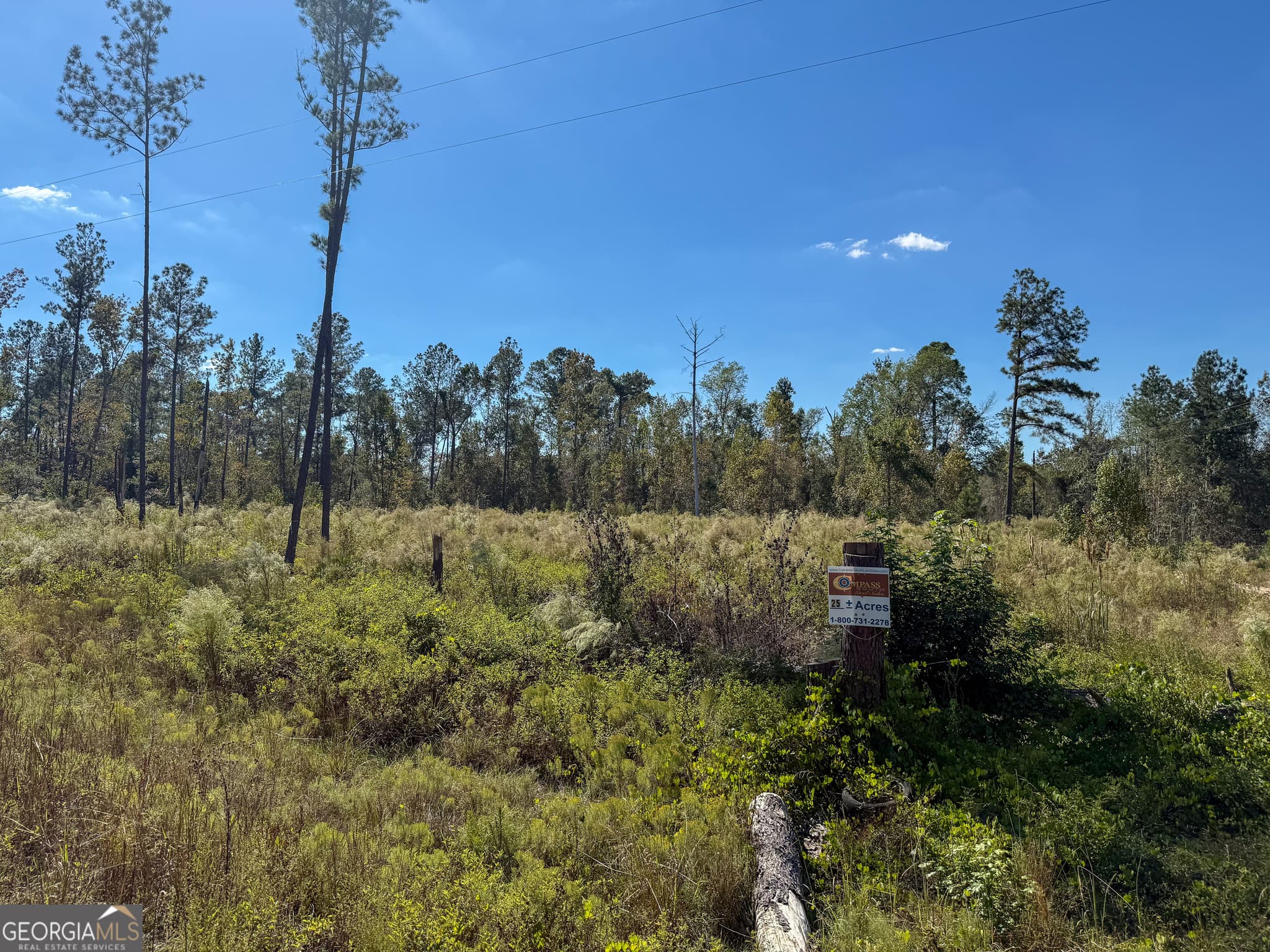 unimproved land for sale at 0 Stewart Cemetery Road, Alma, GA 31510 — photo 9