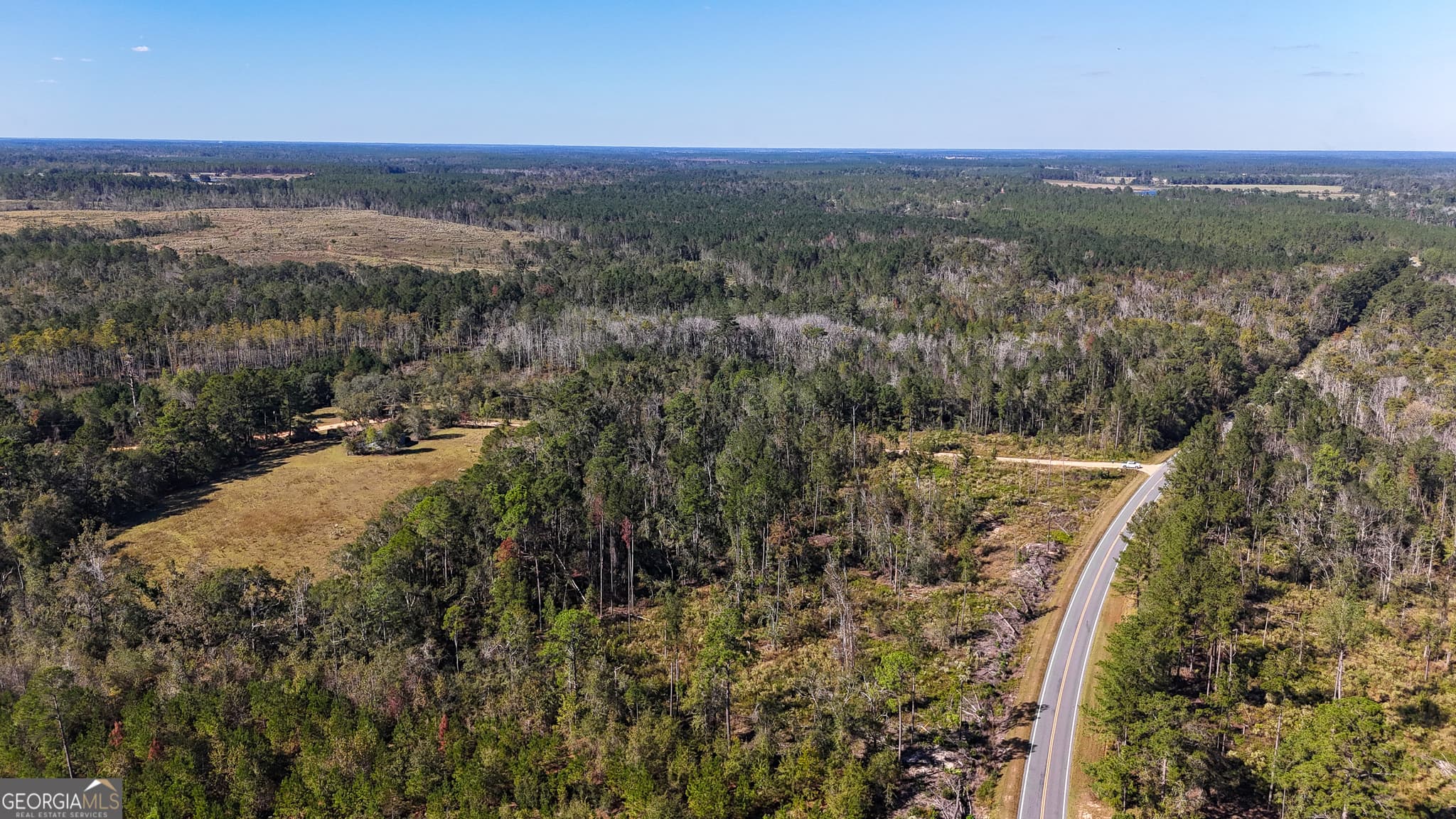 unimproved land for sale at 0 Stewart Cemetery Road, Alma, GA 31510 — photo 4