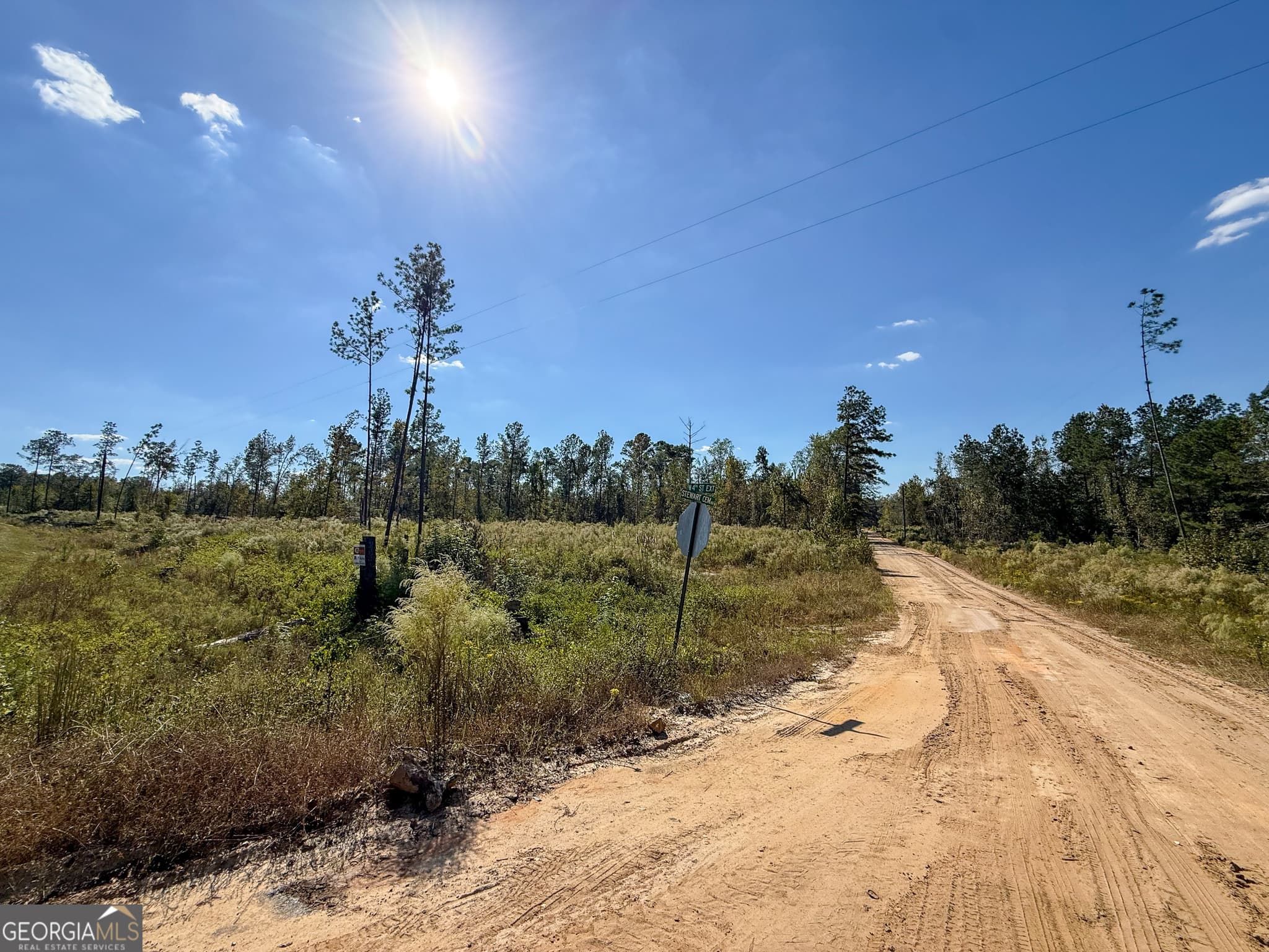 unimproved land for sale at 0 Stewart Cemetery Road, Alma, GA 31510 — photo 8