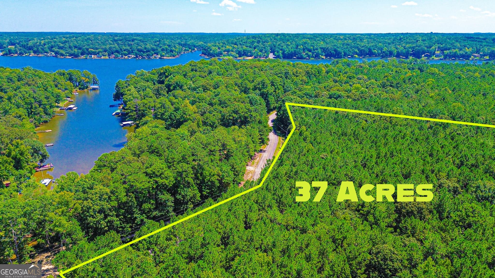 unimproved land for sale at 288 Pope Trail, Covington, GA 30014 — photo 2