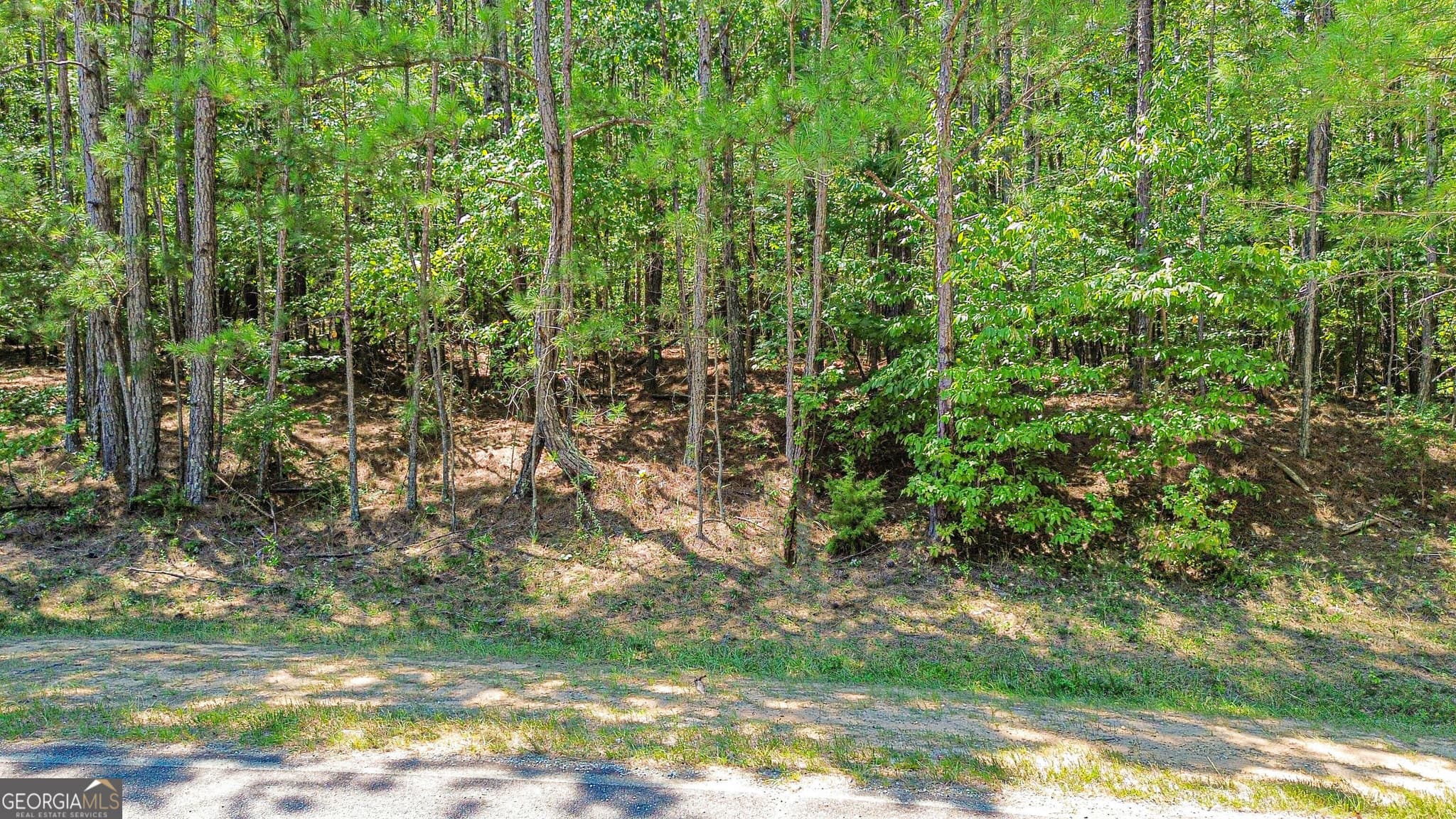 unimproved land for sale at 288 Pope Trail, Covington, GA 30014 — photo 6