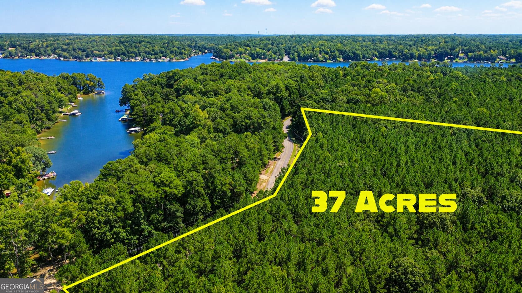 unimproved land for sale at 288 Pope Trail, Covington, GA 30014 — photo 3