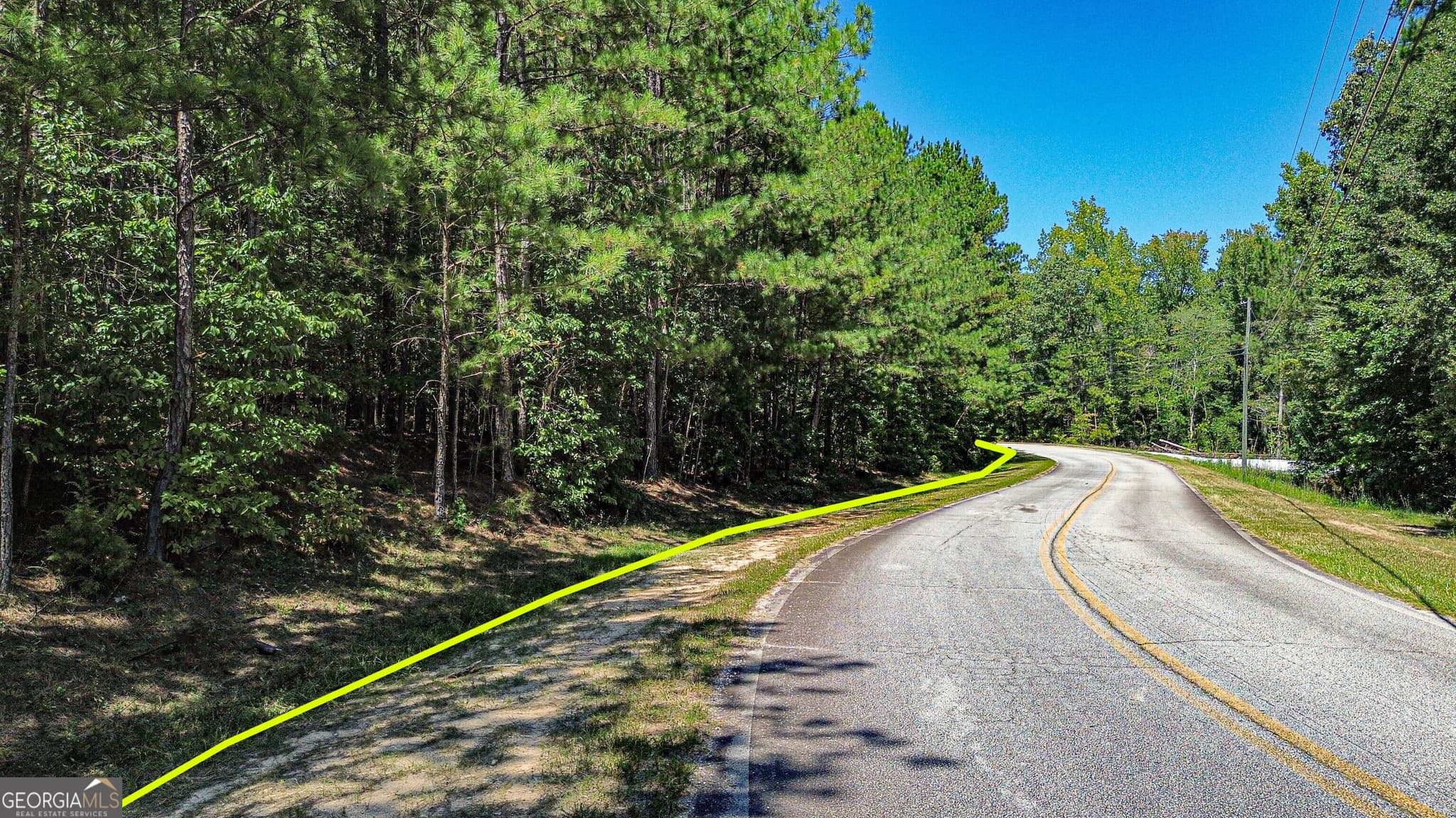 unimproved land for sale at 288 Pope Trail, Covington, GA 30014 — photo 4