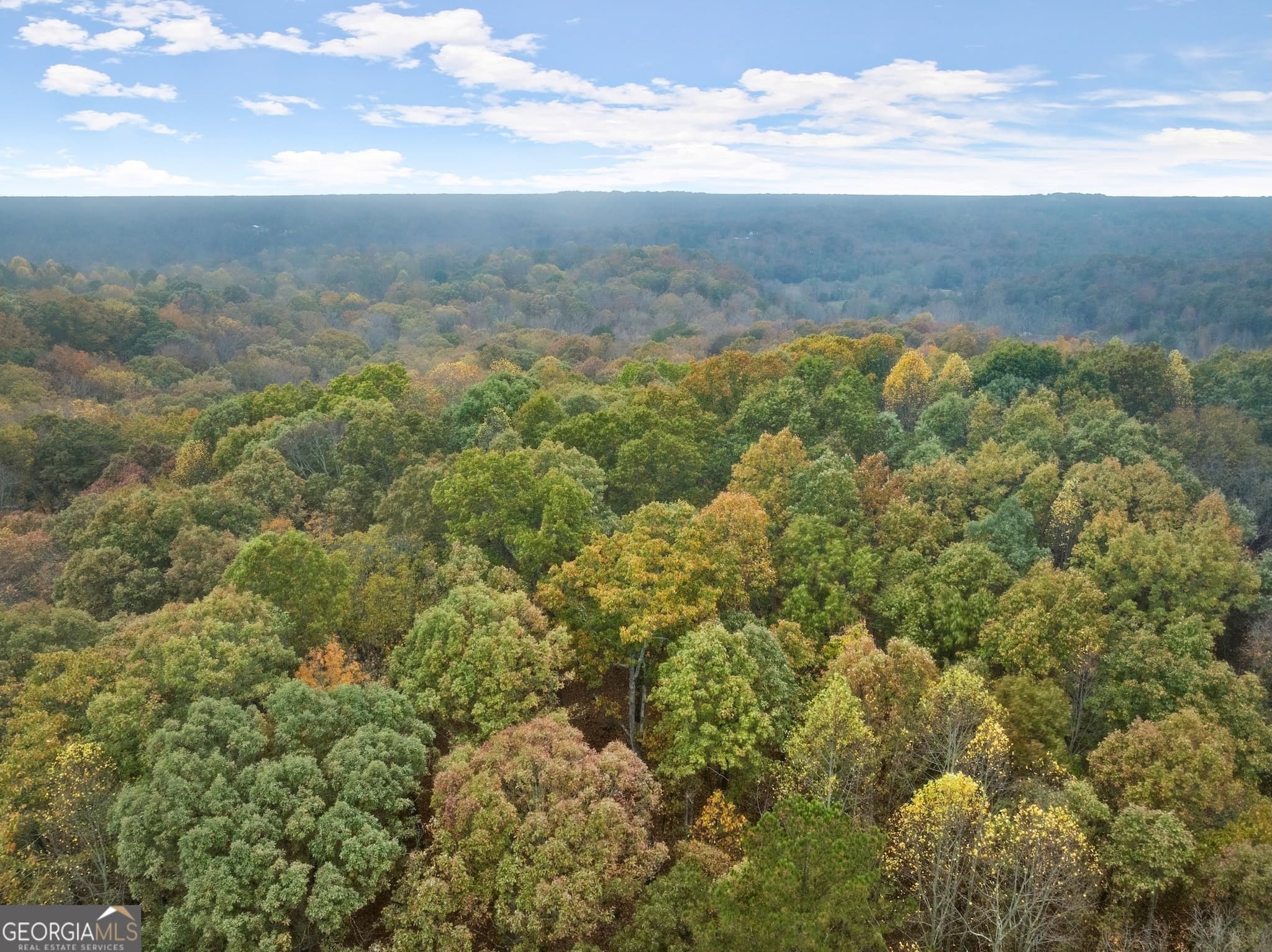 residential lot for sale at 4701A Cleveland Highway, Gainesville, GA 30506 — photo 7