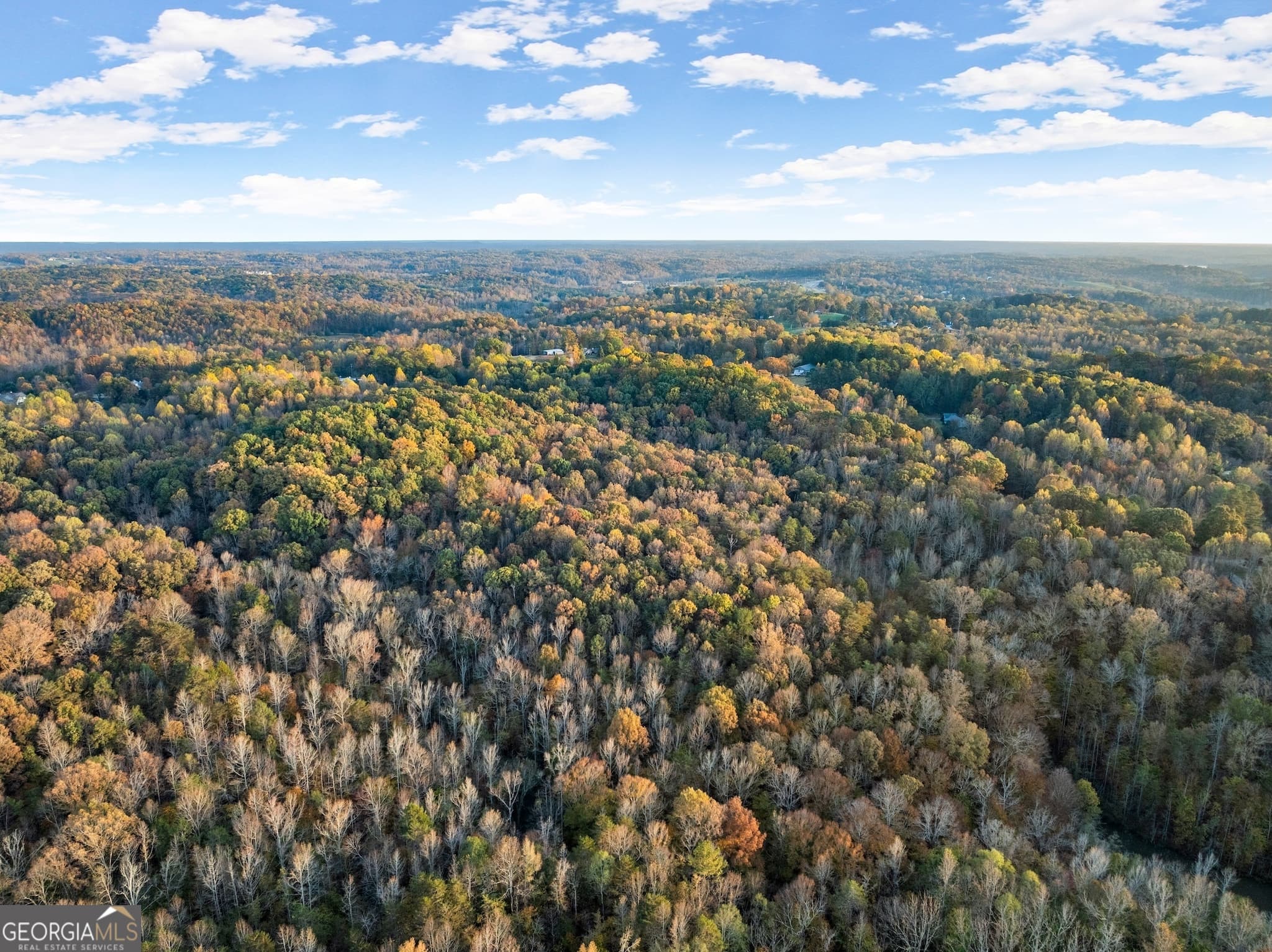 residential lot for sale at 4701A Cleveland Highway, Gainesville, GA 30506 — photo 9
