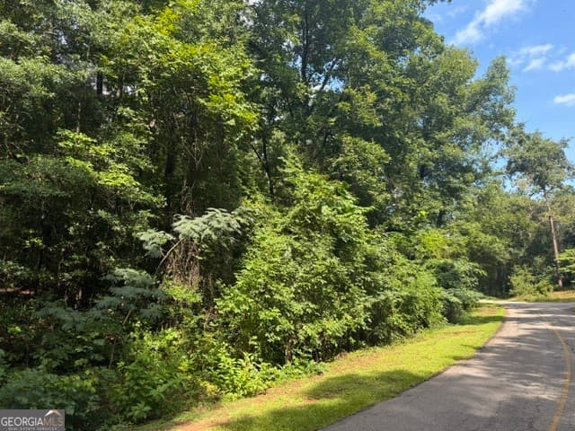 residential lot for sale at 0 Alexander Way, Fort Valley, GA 31030 — photo 3