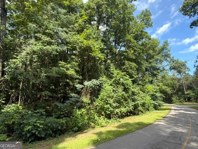 residential lot for sale at 0 Alexander Way, Fort Valley, GA 31030 — photo 1 of 4