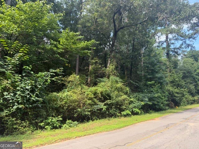 residential lot for sale at 0 Alexander Way, Fort Valley, GA 31030 — photo 4