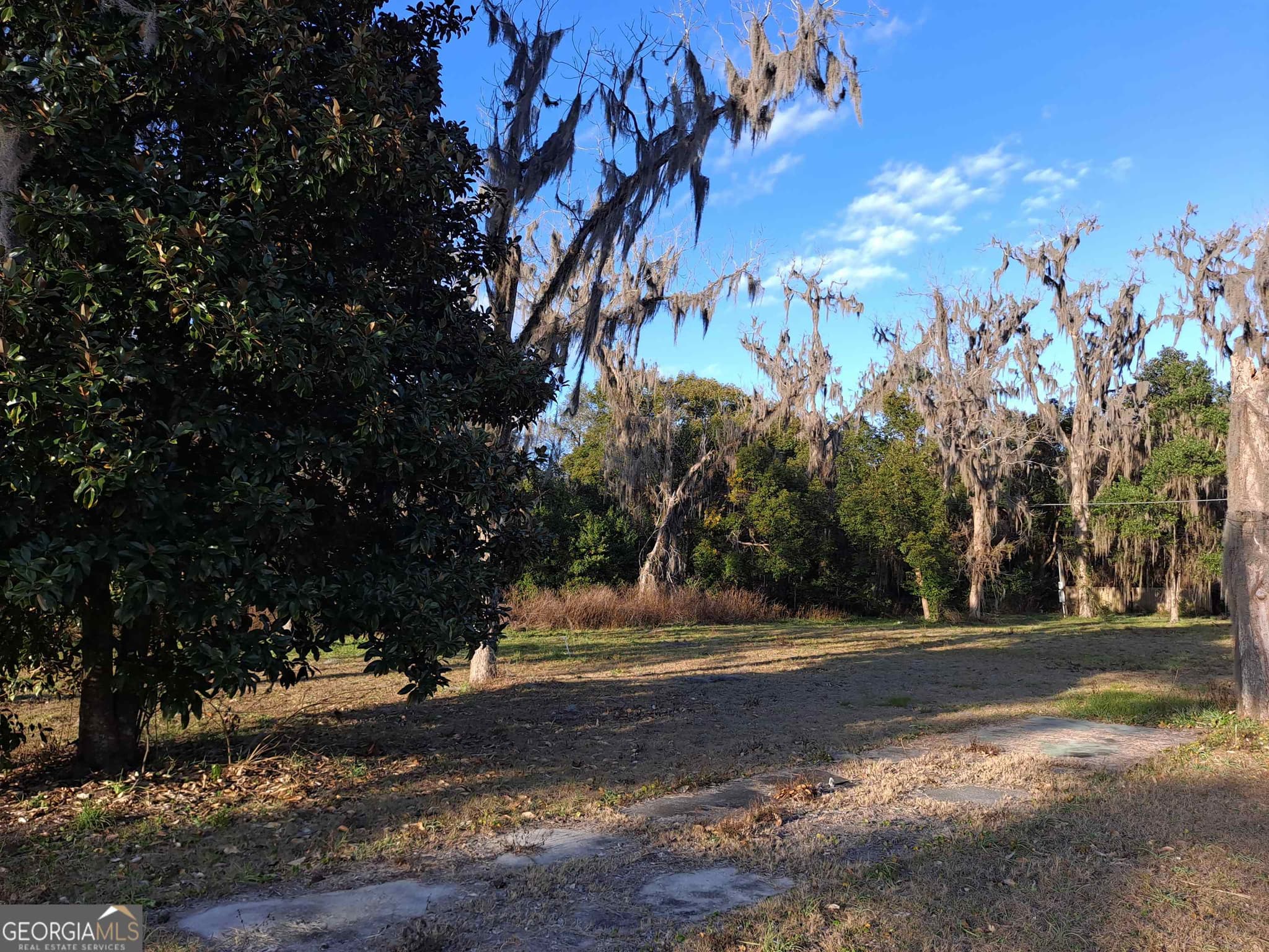 residential lot for sale at 0 EAST Martin Street, Folkston, GA 31537 — photo 2