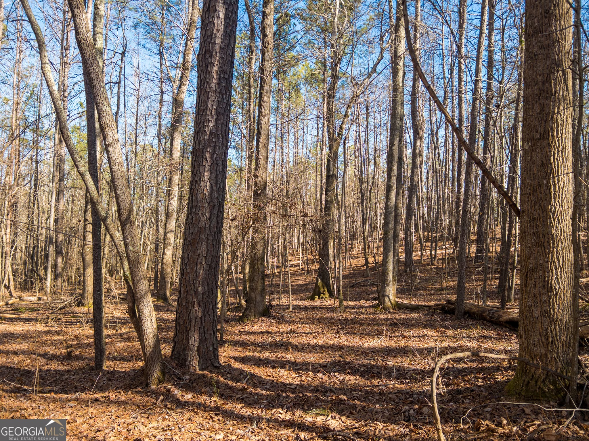 agriculture for sale at 0 E Carroll Road, Winston, GA 30187 — photo 7