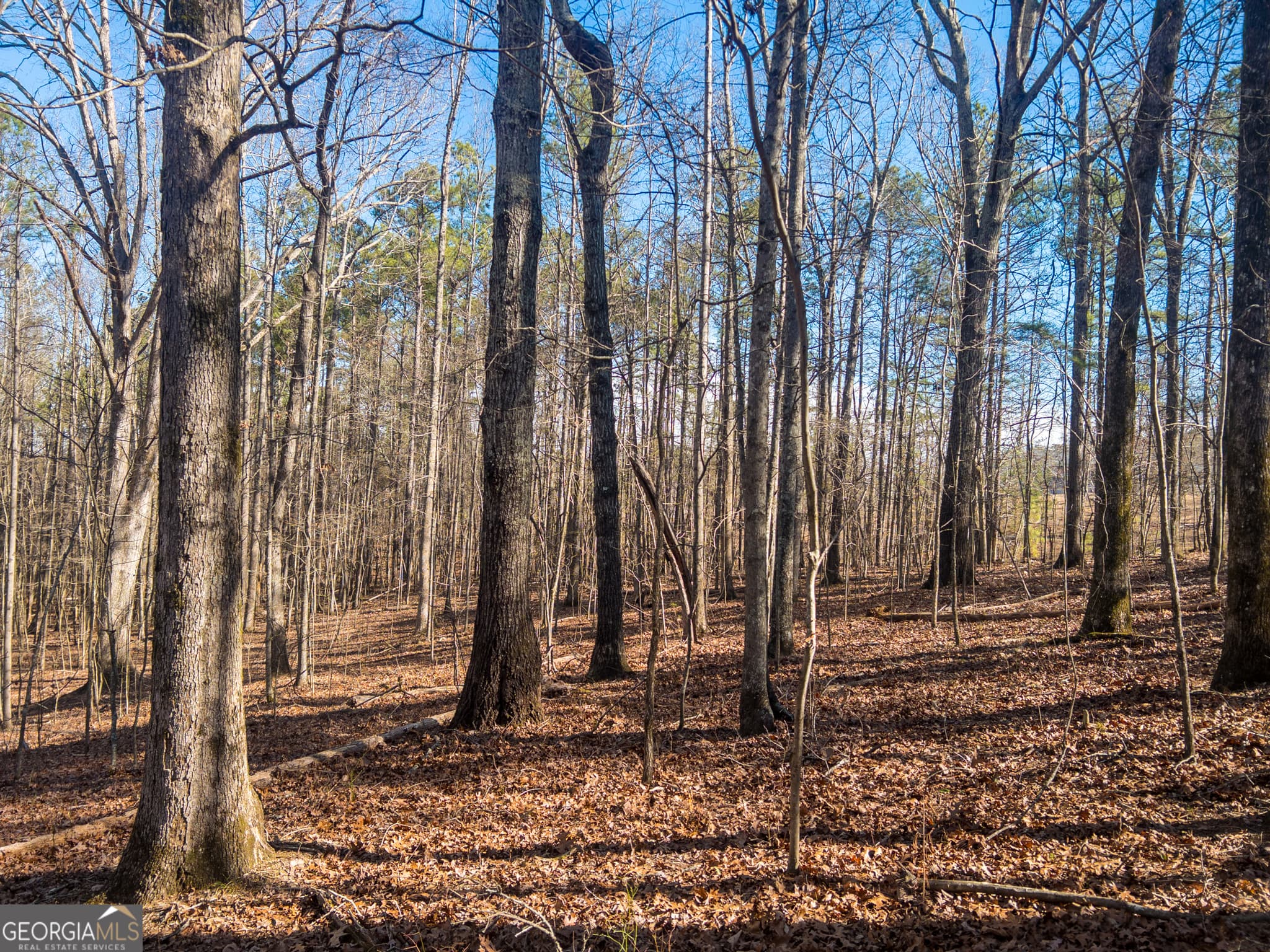 agriculture for sale at 0 E Carroll Road, Winston, GA 30187 — photo 5