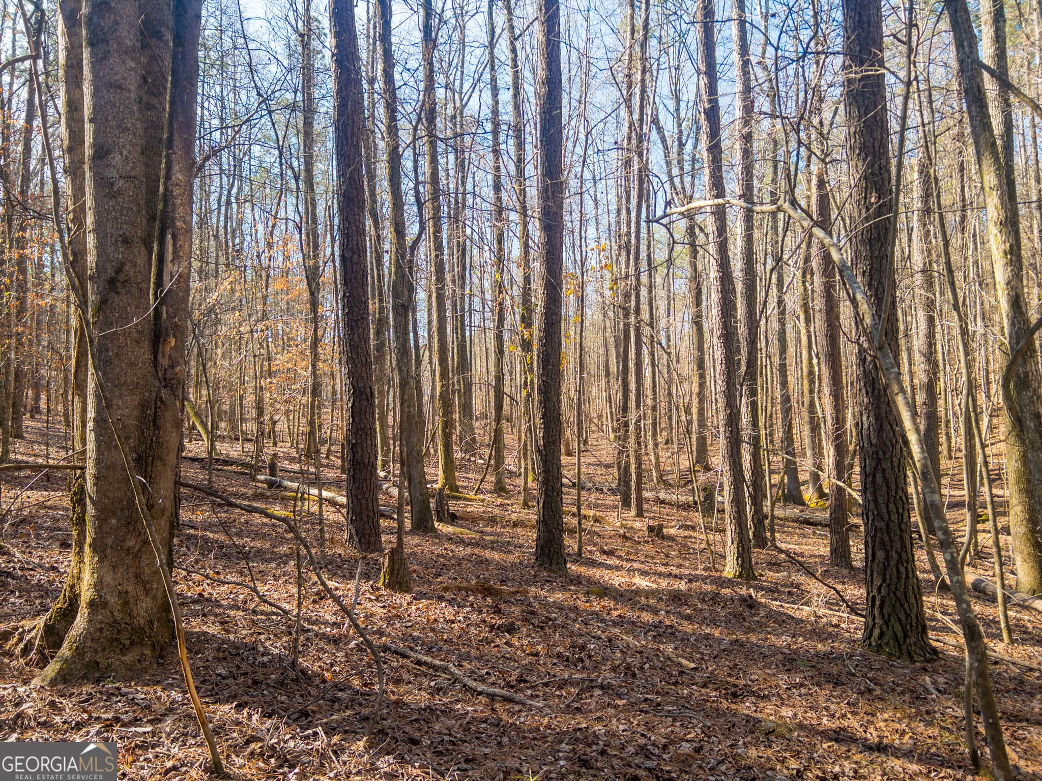 agriculture for sale at 0 E Carroll Road, Winston, GA 30187 — photo 9