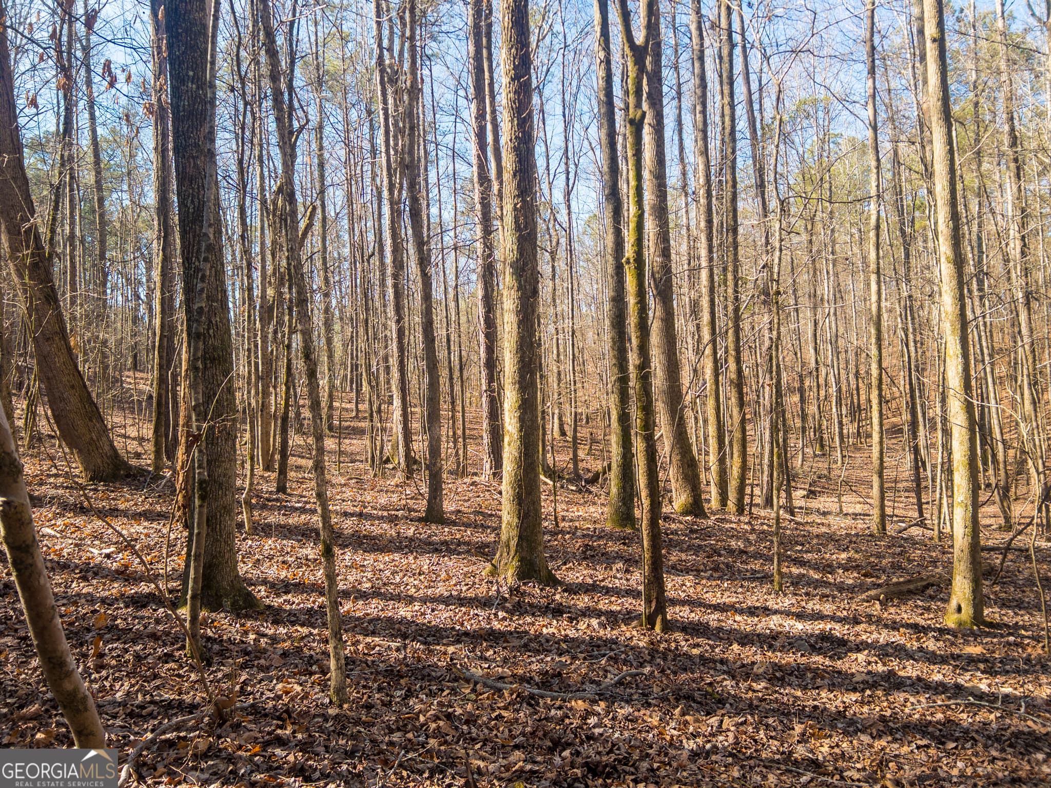 agriculture for sale at 0 E Carroll Road, Winston, GA 30187 — photo 8
