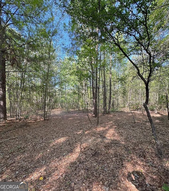 unimproved land for sale at 0 Middle Ground Road, Louisville, GA 30434 — photo 2