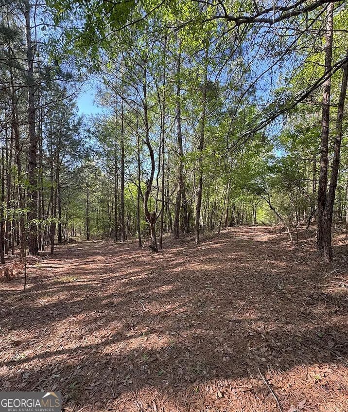 unimproved land for sale at 0 Middle Ground Road, Louisville, GA 30434 — photo 3