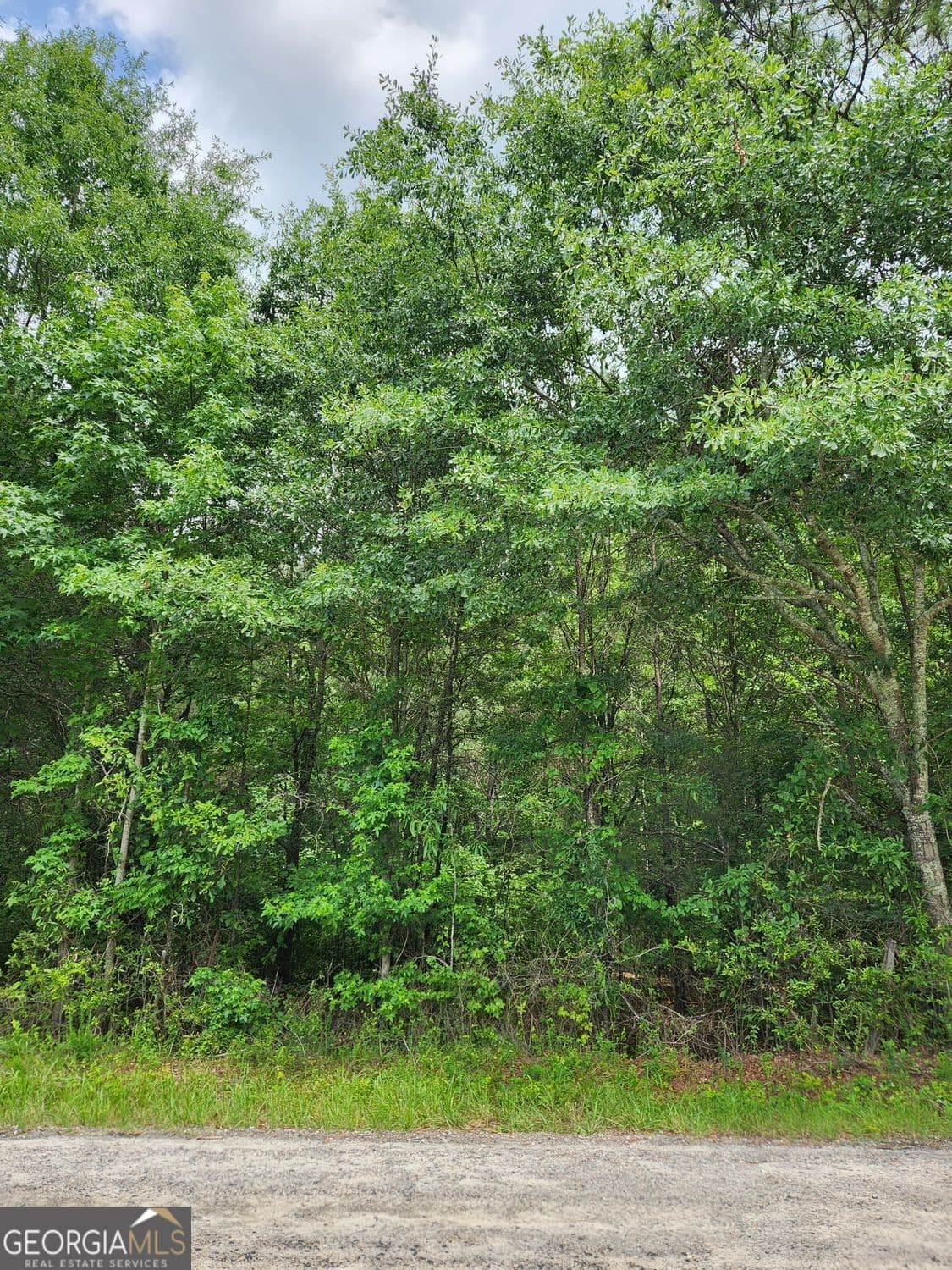 residential lot for sale at 0 Barton Bridge Road LOT 6, Monroe, GA 30655 — photo 8