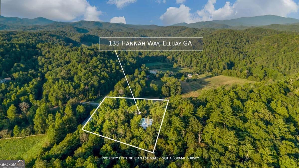 4 bedroom, 3 bathroom, 3,755 sq ft cabin,single family residence for sale at 135 Hannah Way 3, Ellijay, GA 30540 — photo 7