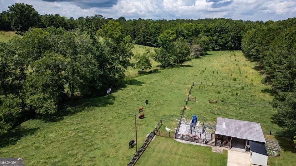 agriculture for sale at 0 County Road 19, Heflin, AL 36264 — photo 3