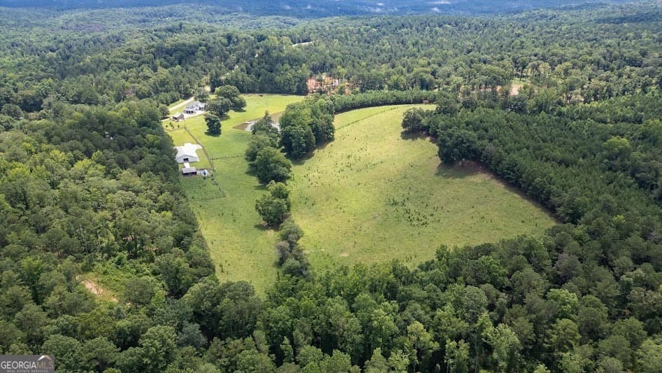 agriculture for sale at 0 County Road 19, Heflin, AL 36264 — photo 5