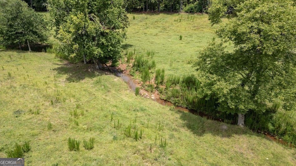 agriculture for sale at 0 County Road 19, Heflin, AL 36264 — photo 4