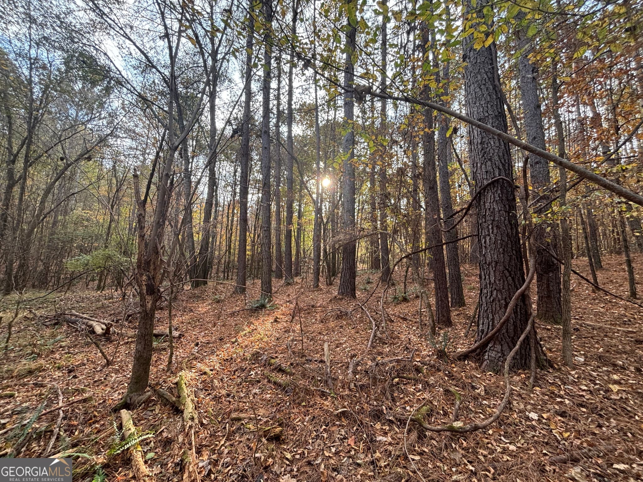 residential lot for sale at 0 Oconee Road LOT 4, Buckhead, GA 30625 — photo 1 of 17