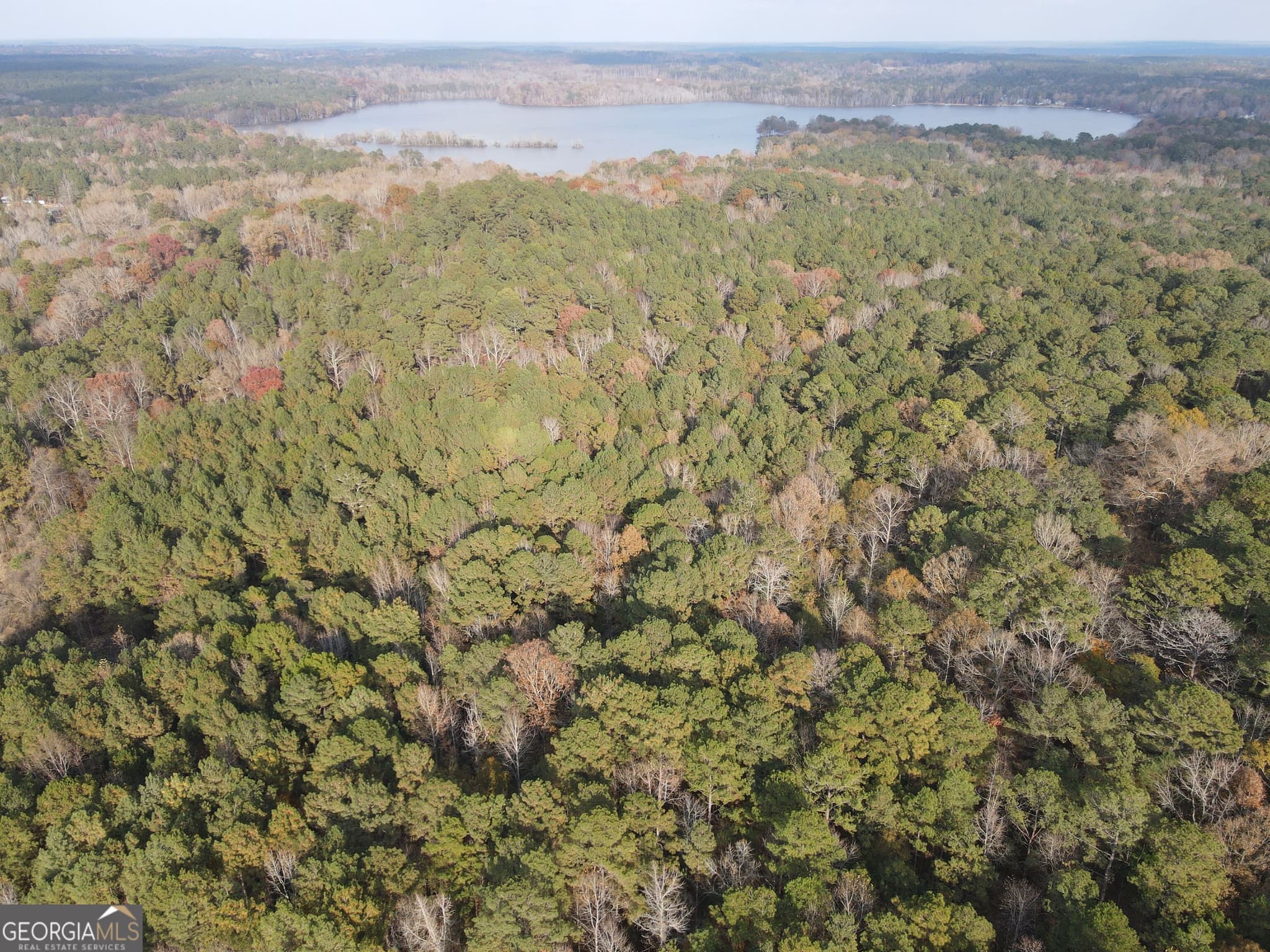 residential lot for sale at 0 Oconee Road LOT 4, Buckhead, GA 30625 — photo 5