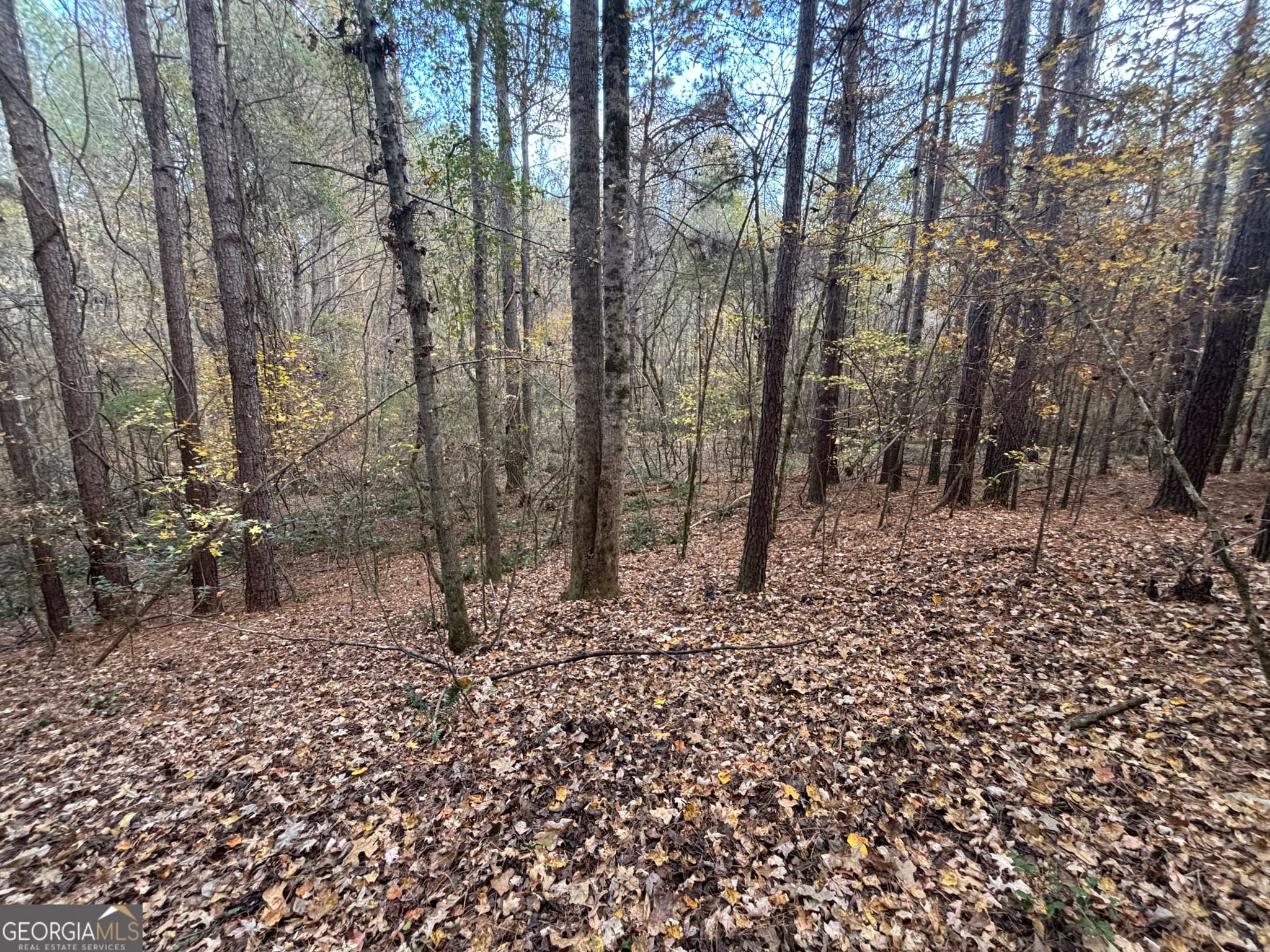 residential lot for sale at 0 Oconee Road LOT 4, Buckhead, GA 30625 — photo 9