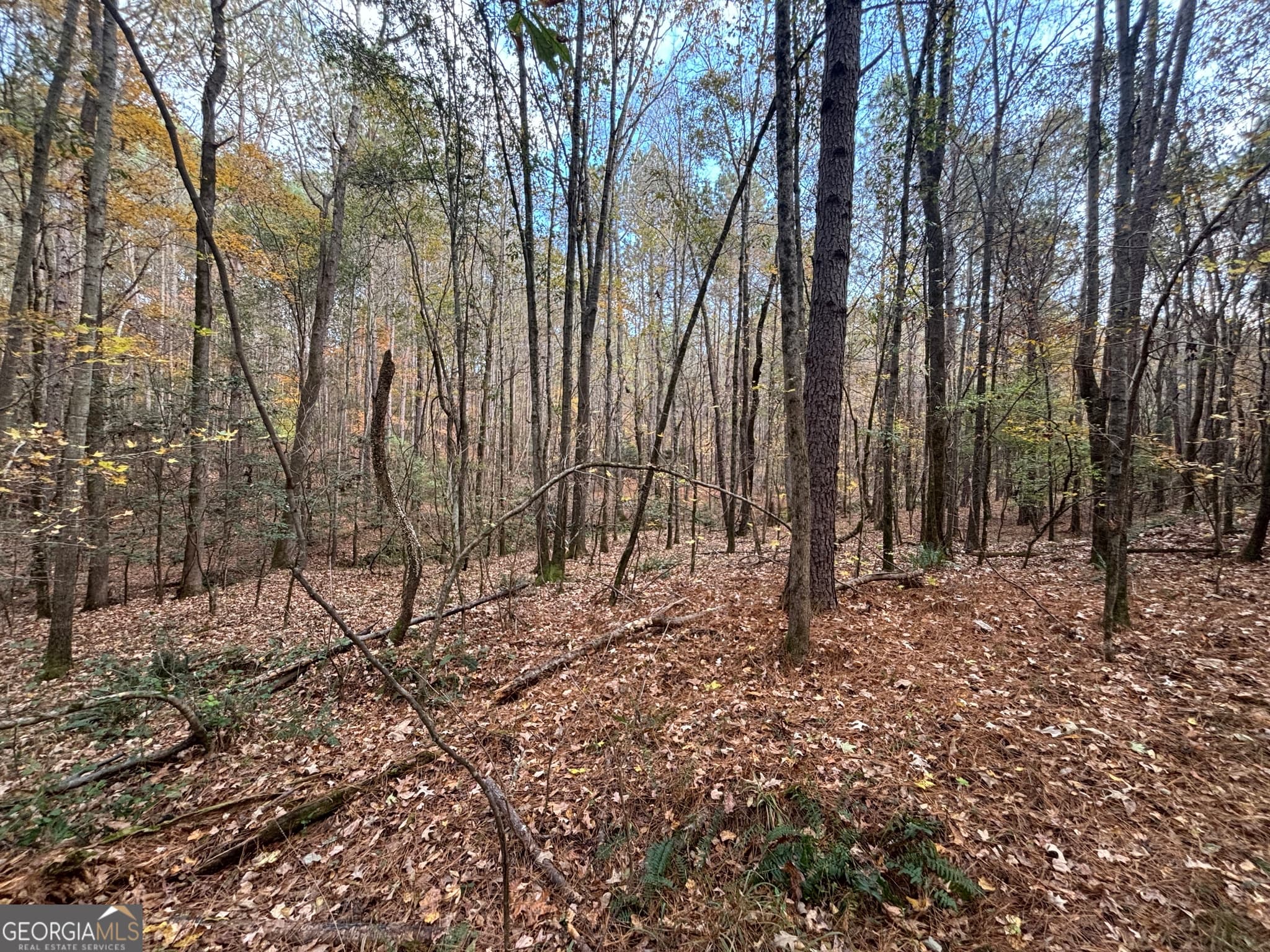 residential lot for sale at 0 Oconee Road LOT 4, Buckhead, GA 30625 — photo 10