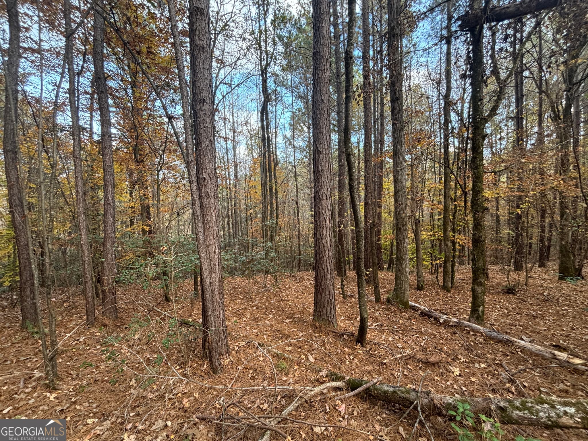 residential lot for sale at 0 Oconee Road LOT 4, Buckhead, GA 30625 — photo 8
