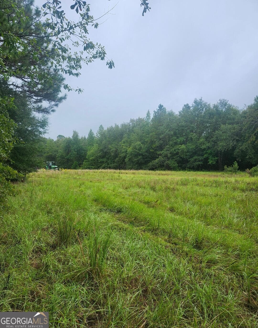 agriculture for sale at 0 Lewis Station Road, Sylvania, GA 30467 — photo 2