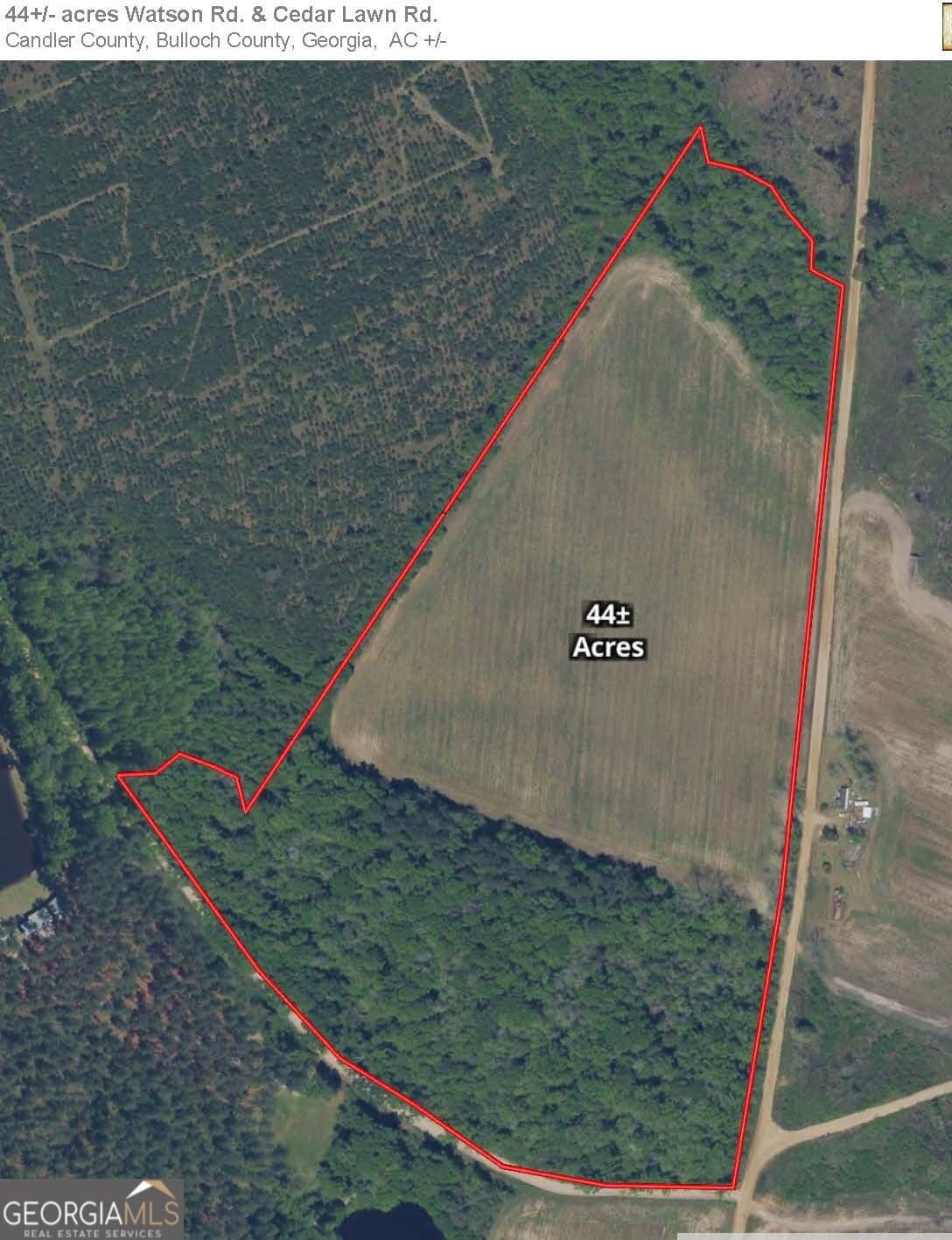 agriculture for sale at 0 Watson & Cedar Lawn Roads, Metter, GA 30439 — photo 2