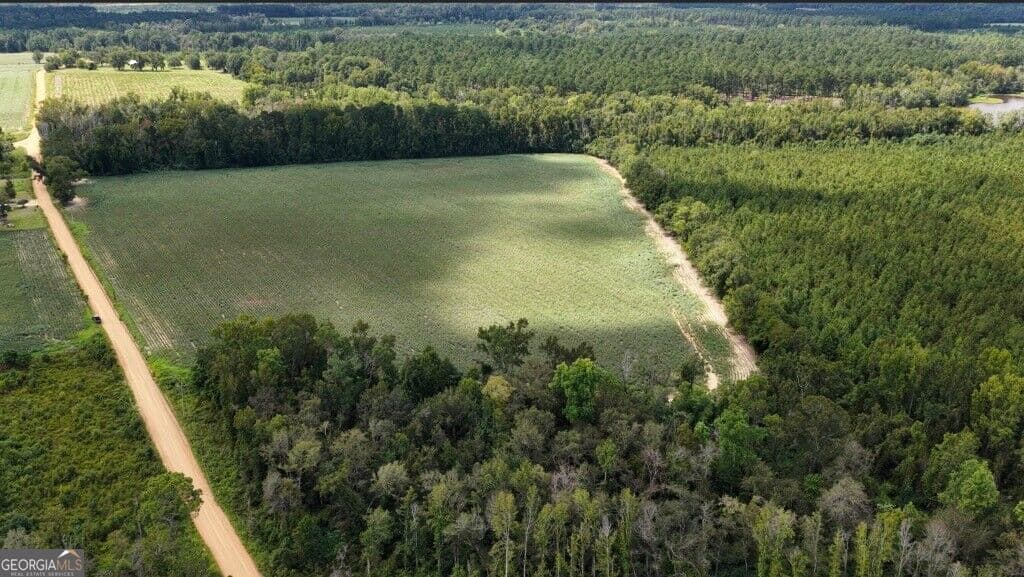 agriculture for sale at 0 Watson & Cedar Lawn Roads, Metter, GA 30439 — photo 6