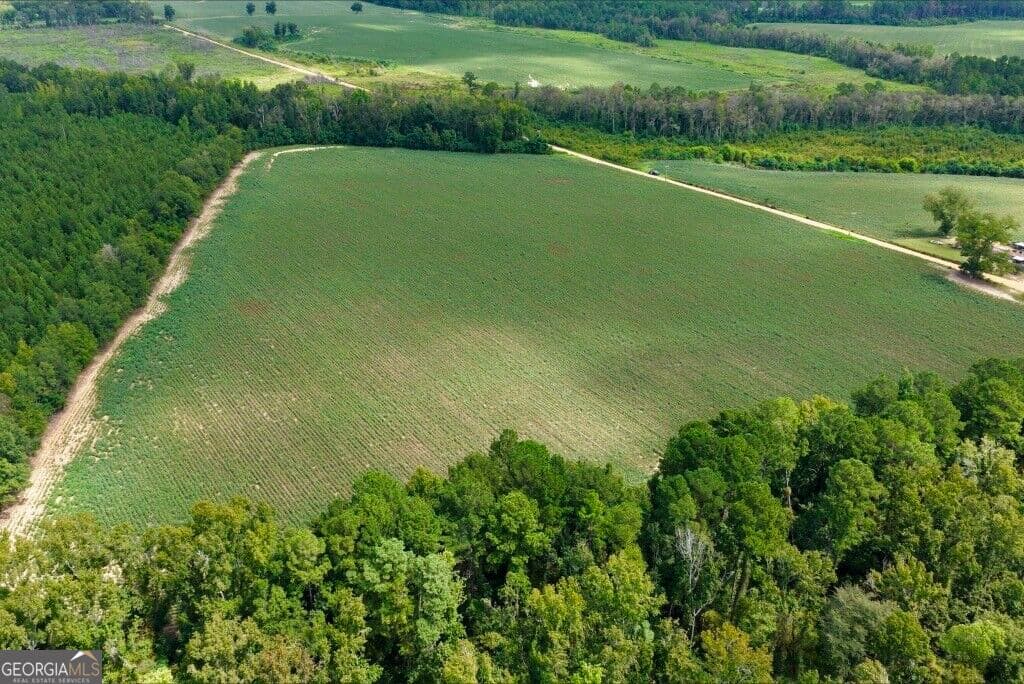 agriculture for sale at 0 Watson & Cedar Lawn Roads, Metter, GA 30439 — photo 7