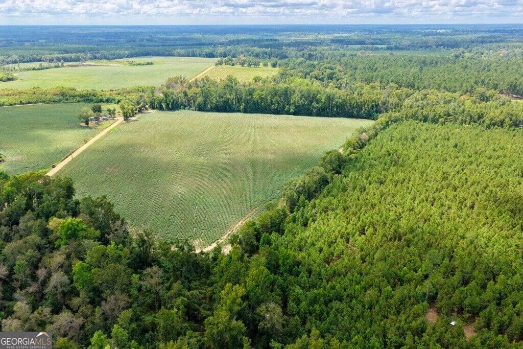 agriculture for sale at 0 Watson & Cedar Lawn Roads, Metter, GA 30439
