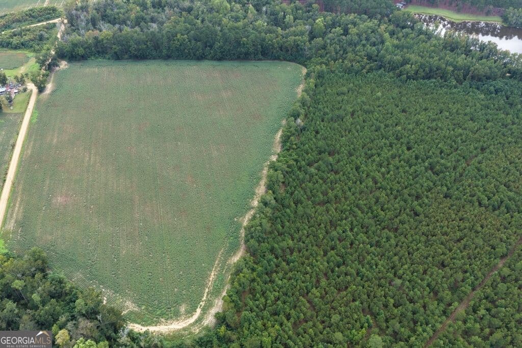 agriculture for sale at 0 Watson & Cedar Lawn Roads, Metter, GA 30439 — photo 5