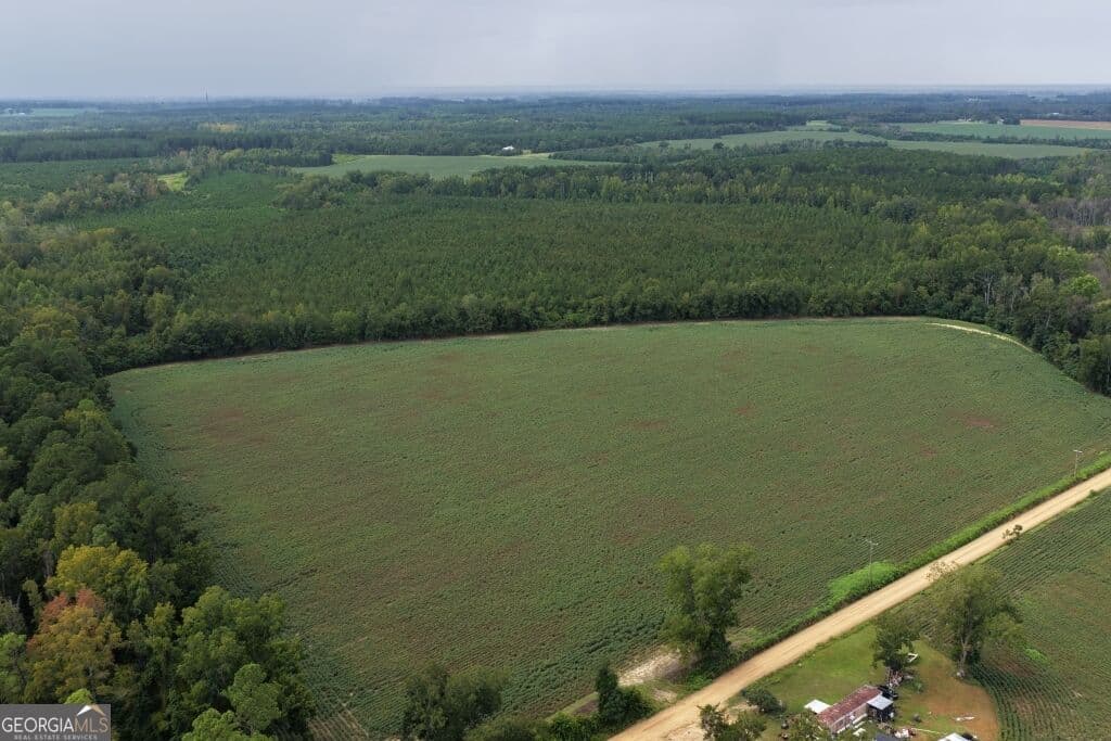 agriculture for sale at 0 Watson & Cedar Lawn Roads, Metter, GA 30439 — photo 4