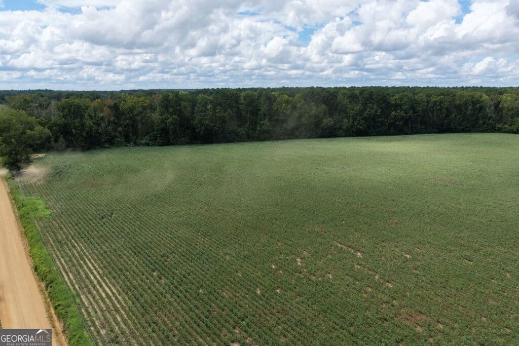 agriculture for sale at 0 Watson & Cedar Lawn Roads, Metter, GA 30439 — photo 8
