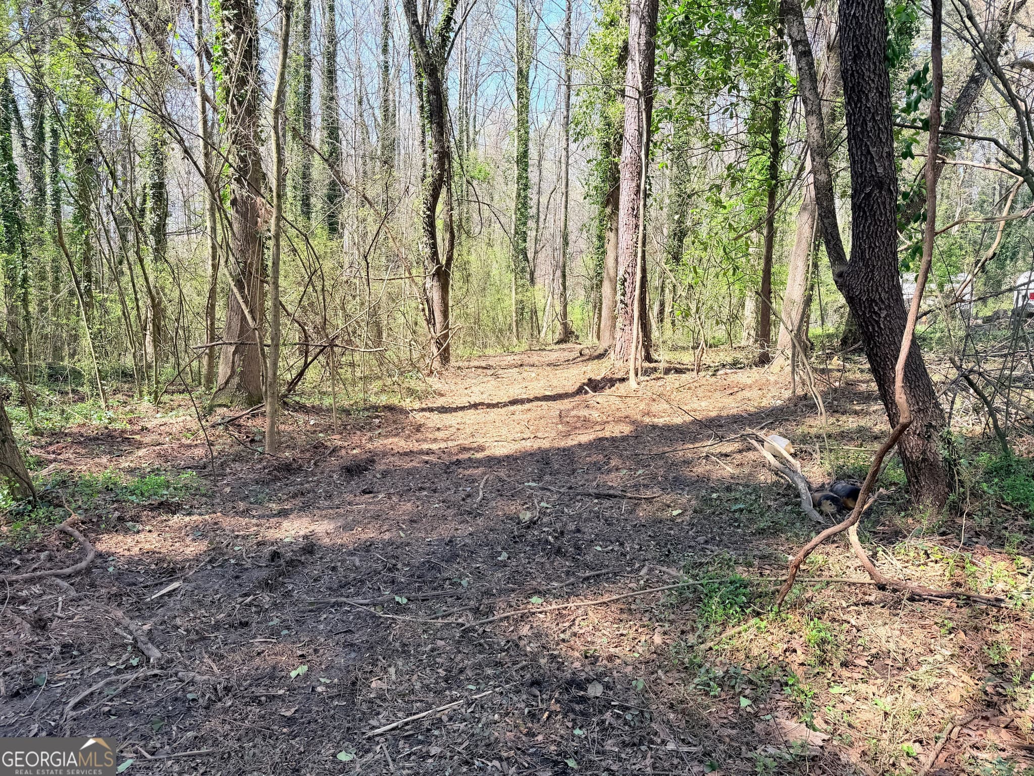 unimproved land for sale at LOT 4 Miller Street, Lithia Springs, GA 30122 — photo 6