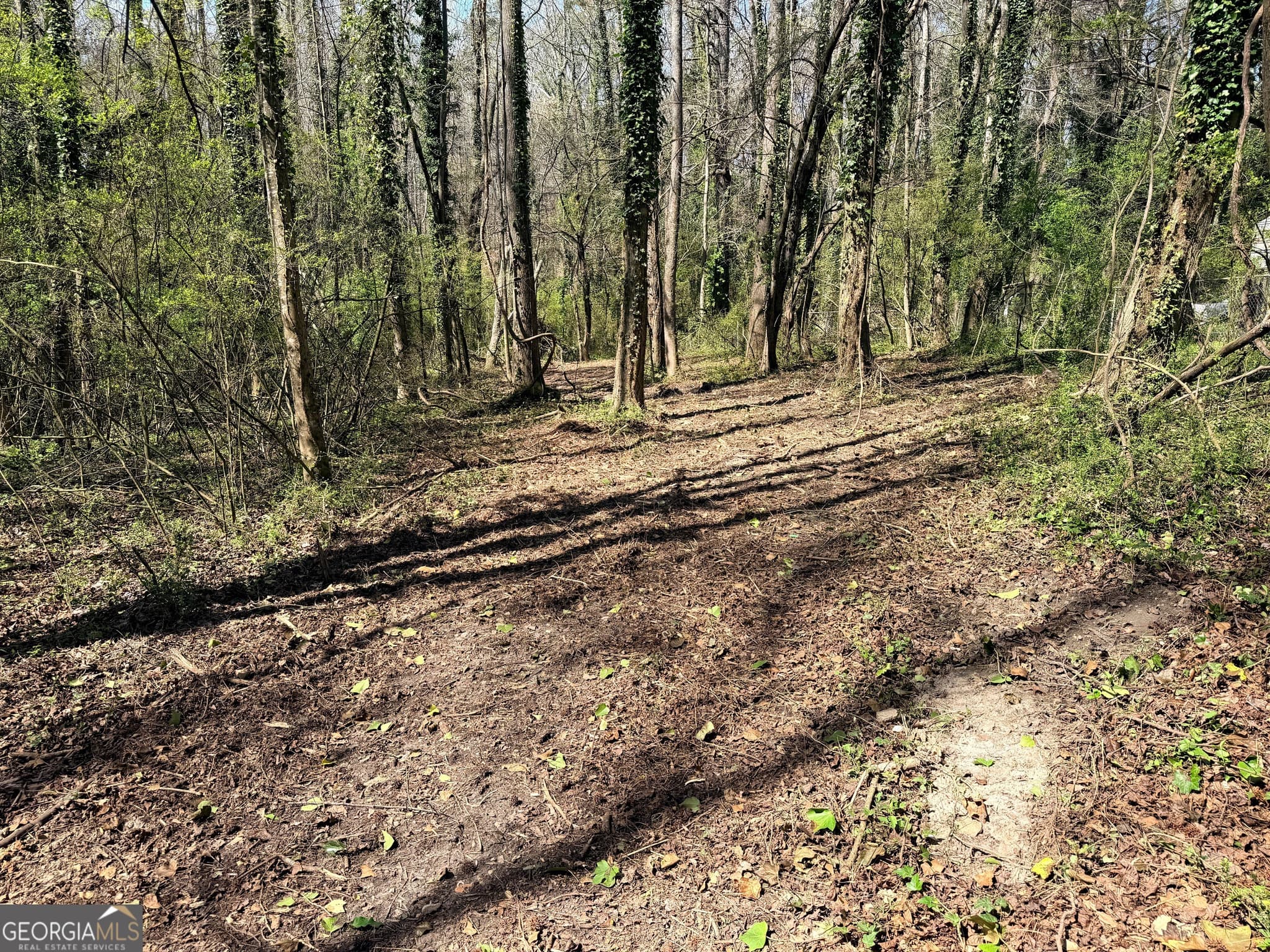 unimproved land for sale at LOT 4 Miller Street, Lithia Springs, GA 30122 — photo 7