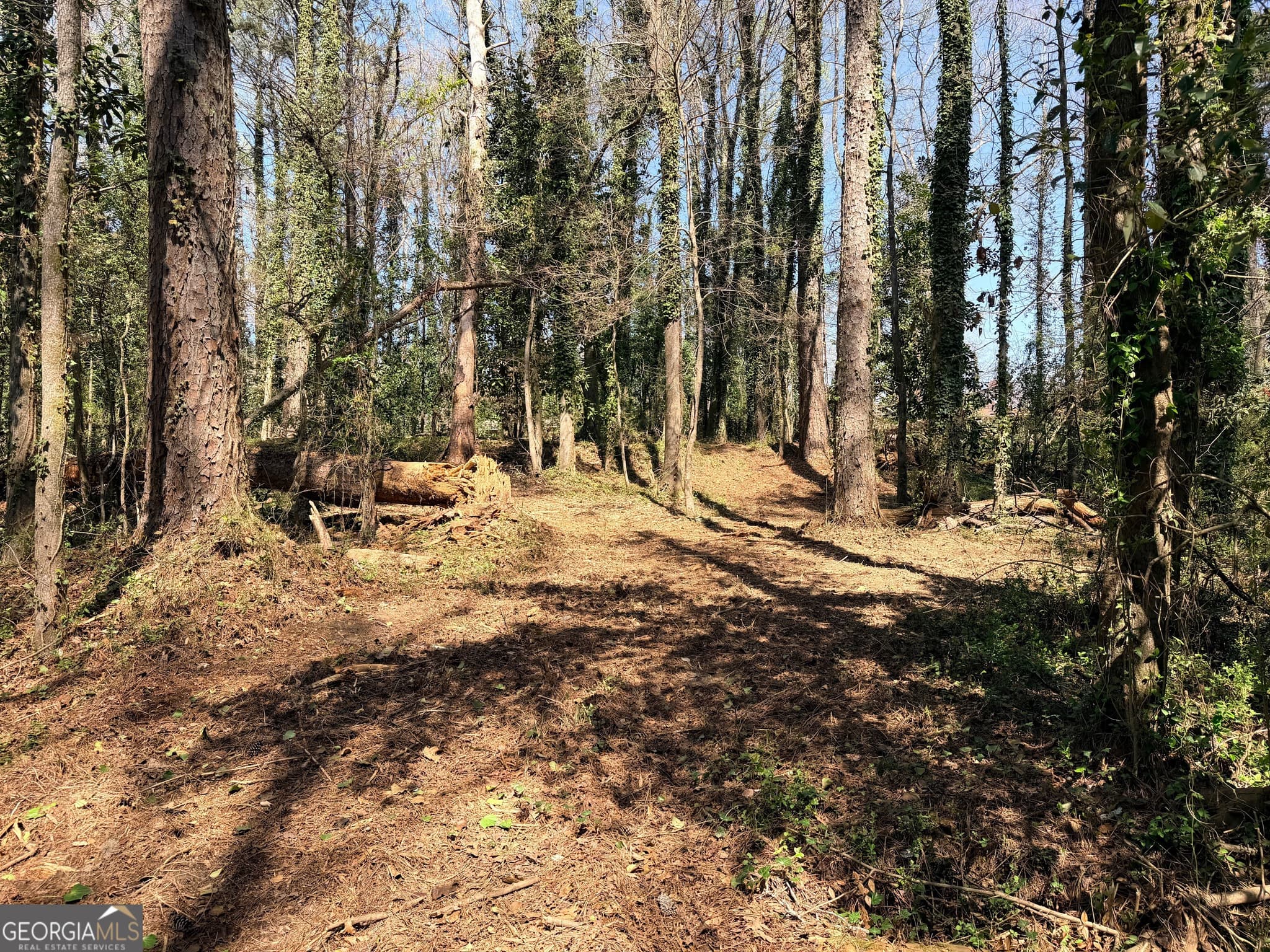 unimproved land for sale at LOT 4 Miller Street, Lithia Springs, GA 30122 — photo 9