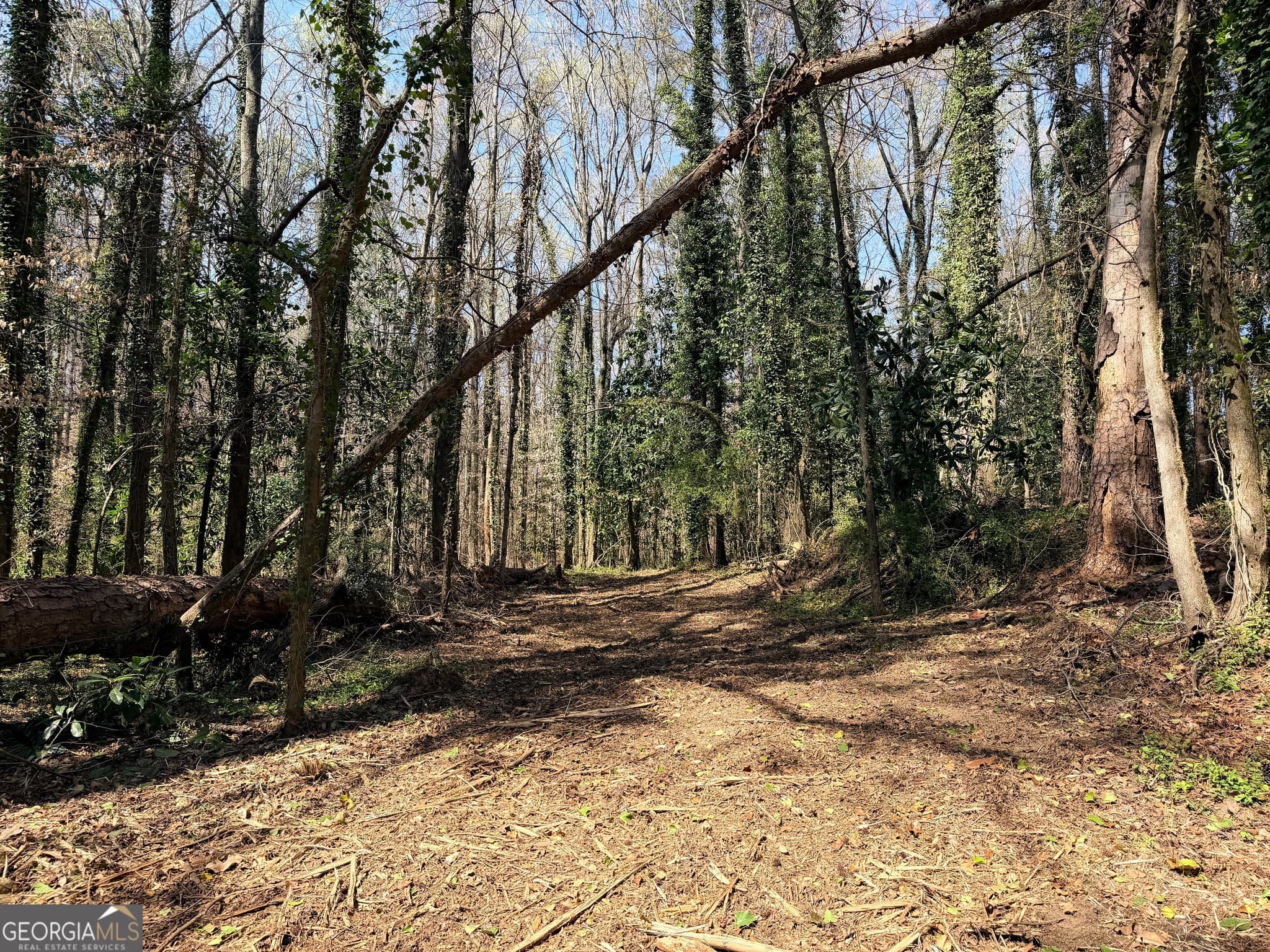 unimproved land for sale at LOT 4 Miller Street, Lithia Springs, GA 30122 — photo 10