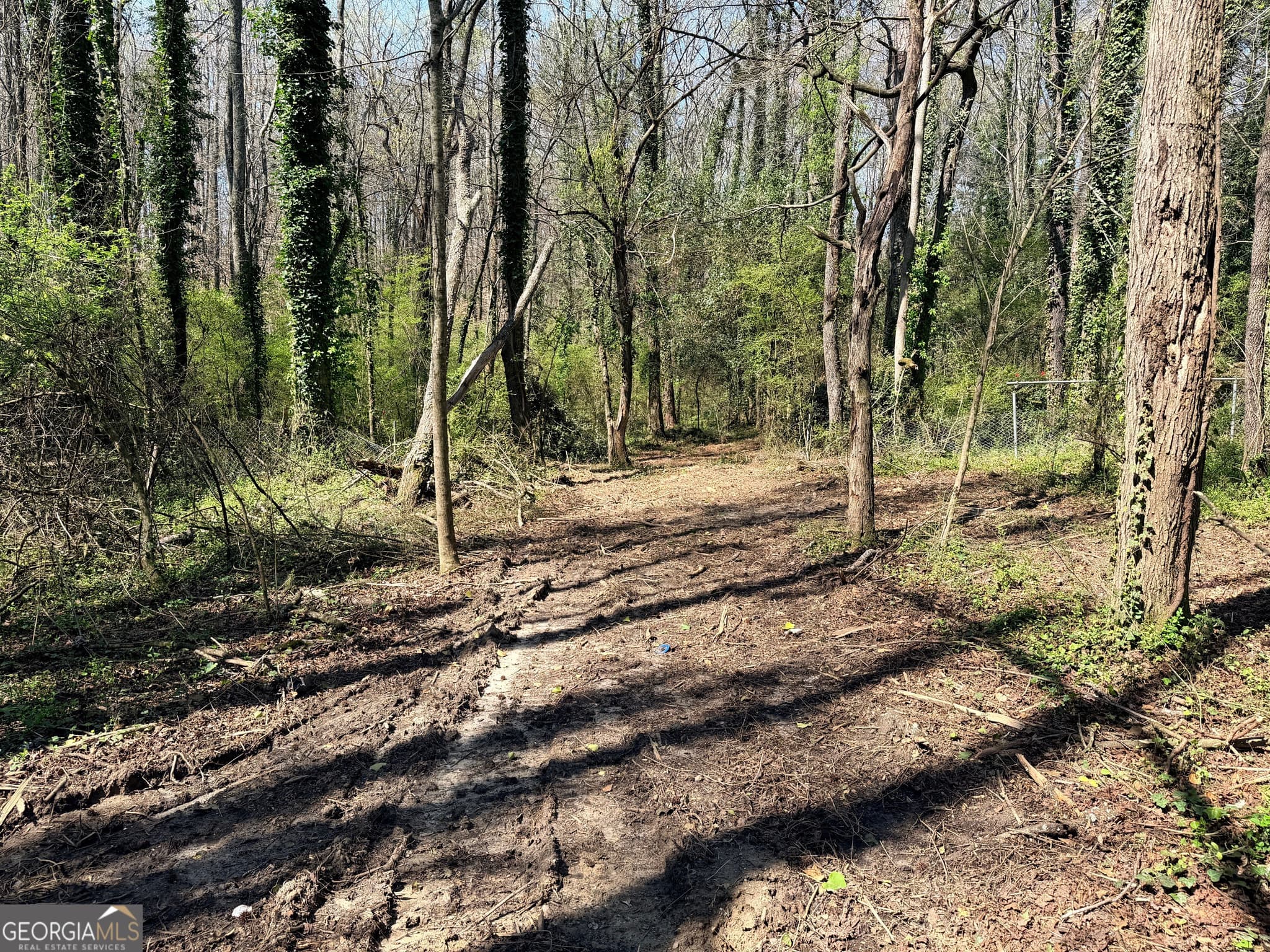 unimproved land for sale at LOT 4 Miller Street, Lithia Springs, GA 30122 — photo 8
