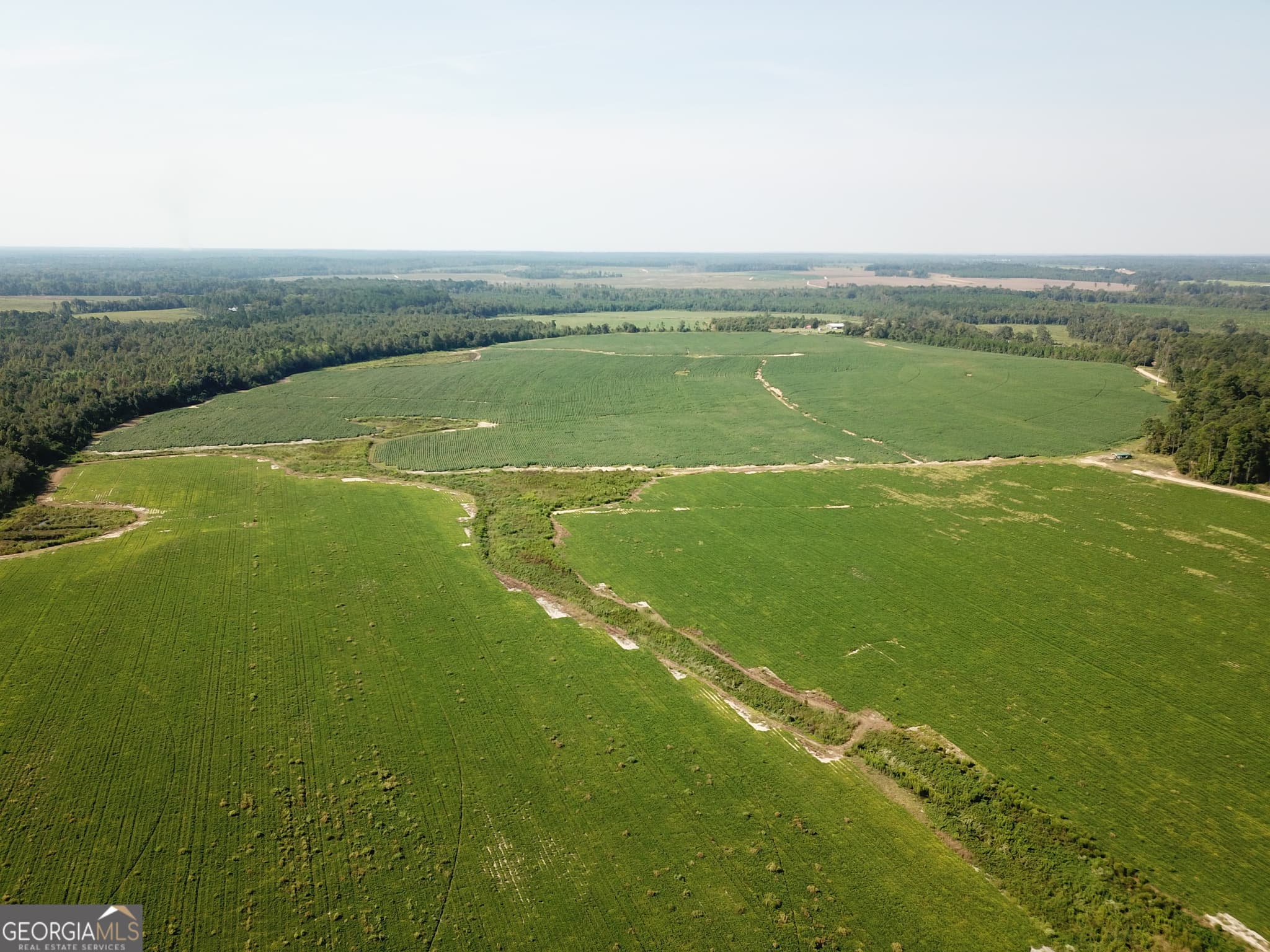 agriculture under contract at 0 Hwy 257, Chester, GA 31012 — photo 2